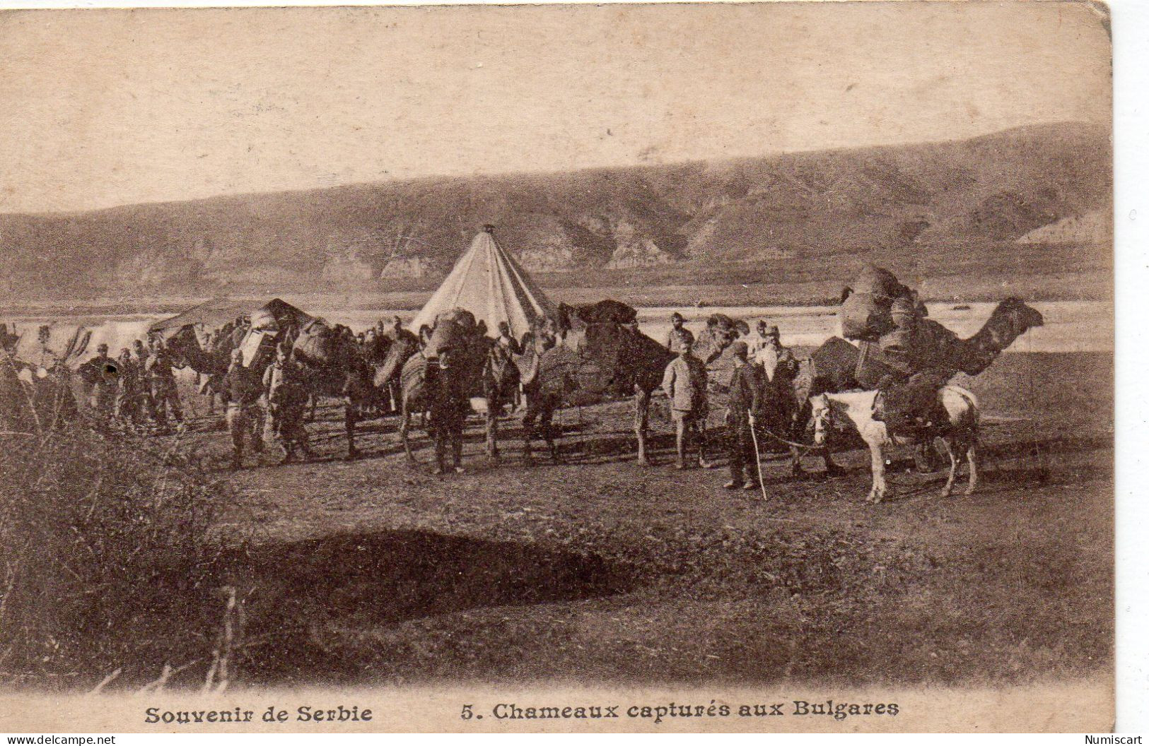 Serbie Très Animée Chameaux Capturés Aux Bulgares - Serbie