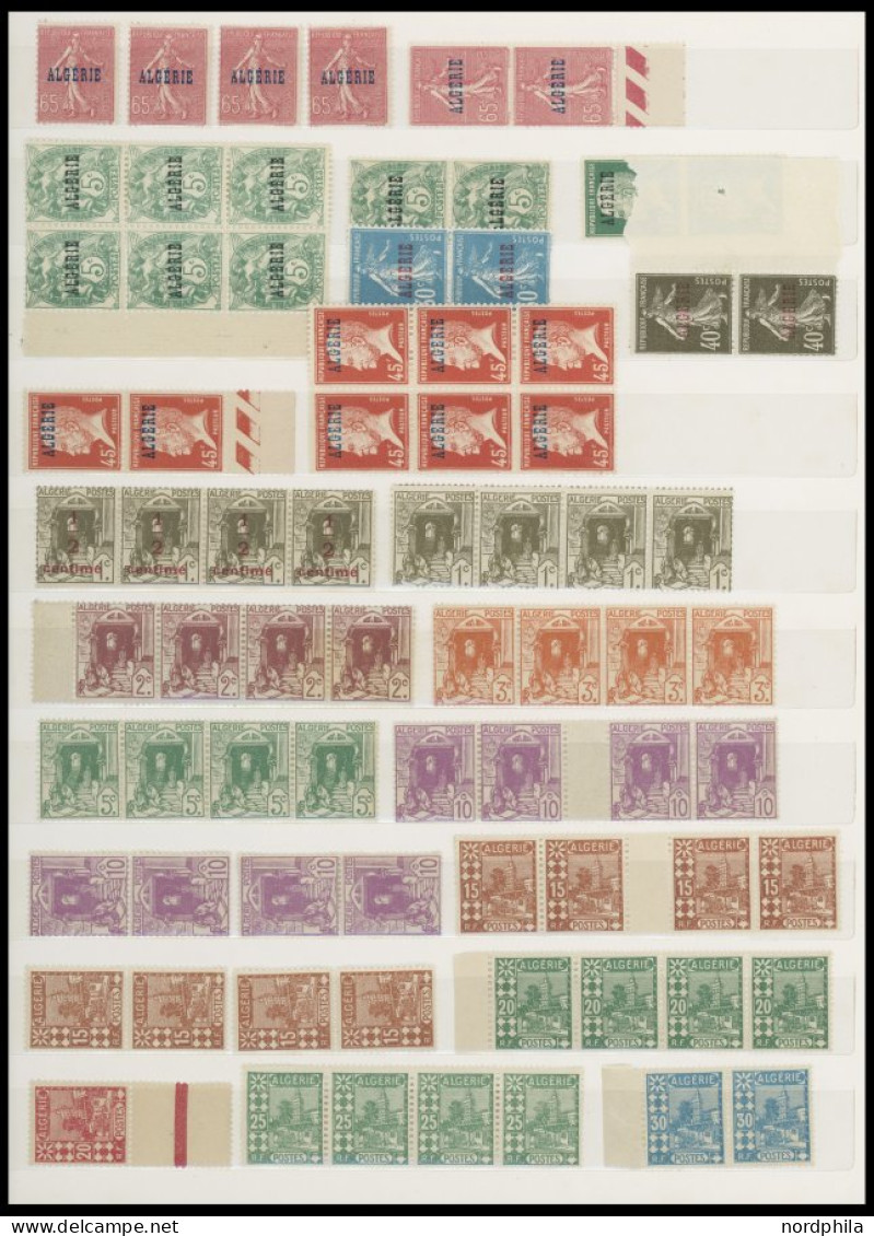 ALGERIEN , Postfrische Partie Algerien Von 1924-50, Prachterhaltung - Algerien (1962-...)