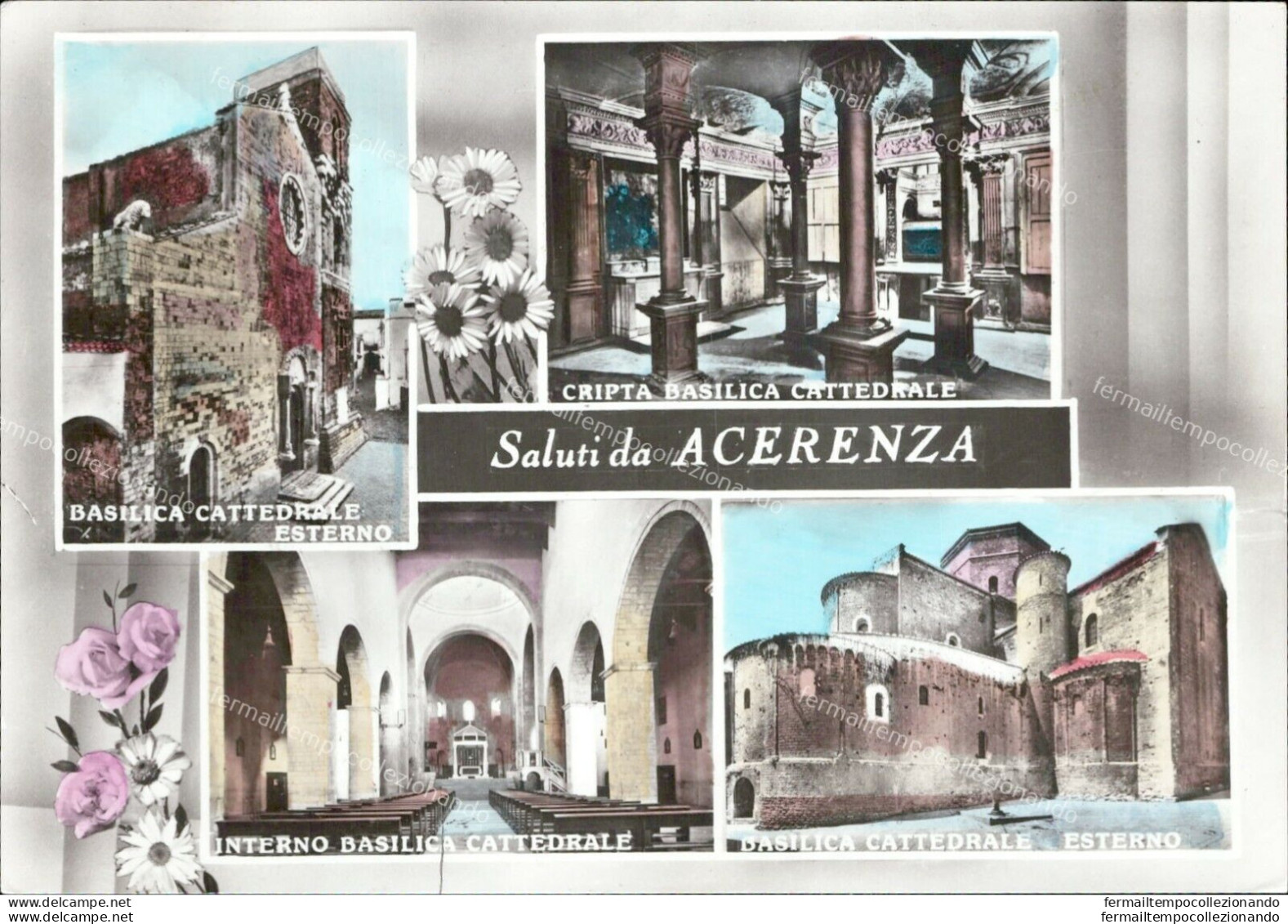 Ai84 Cartolina Saluti Da Acerenza 4 Vedutine  Provincia Di Potenza - Potenza