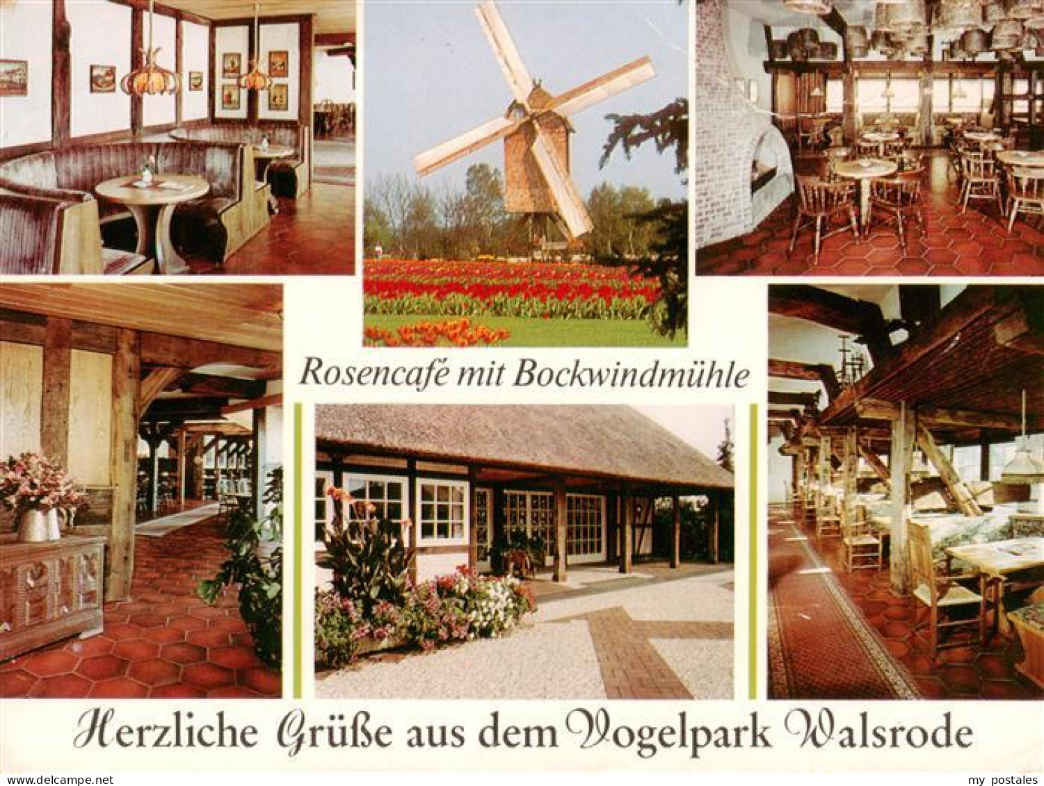 73920008 Walsrode Lueneburger Heide Rosencafe Mit Bockwindmuehle Gastraeume - Walsrode