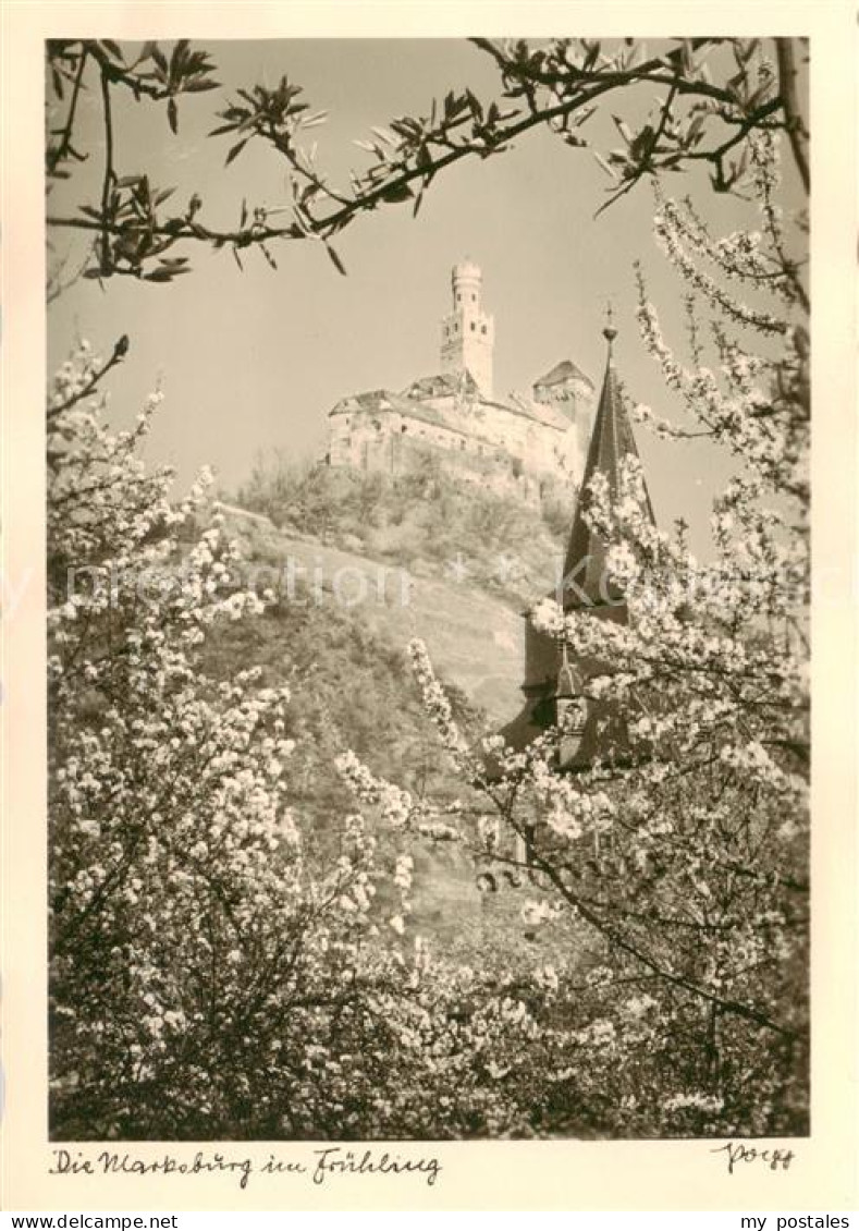 73811590 Braubach Rhein Fruehling An Der Marksburg Baumbluete Braubach Rhein - Braubach