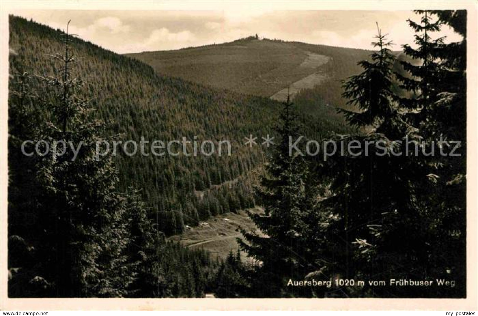 72892236 Auersberg Wildenthal Panorama Blick Vom Fruehbuser Weg Eibenstock - Eibenstock