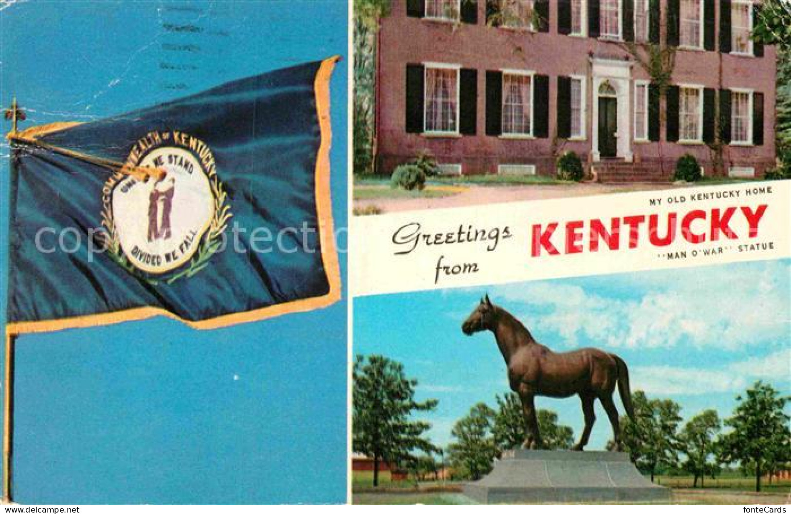 72891741 Kentucky_US-State Kingdom Of The Horse - Autres & Non Classés