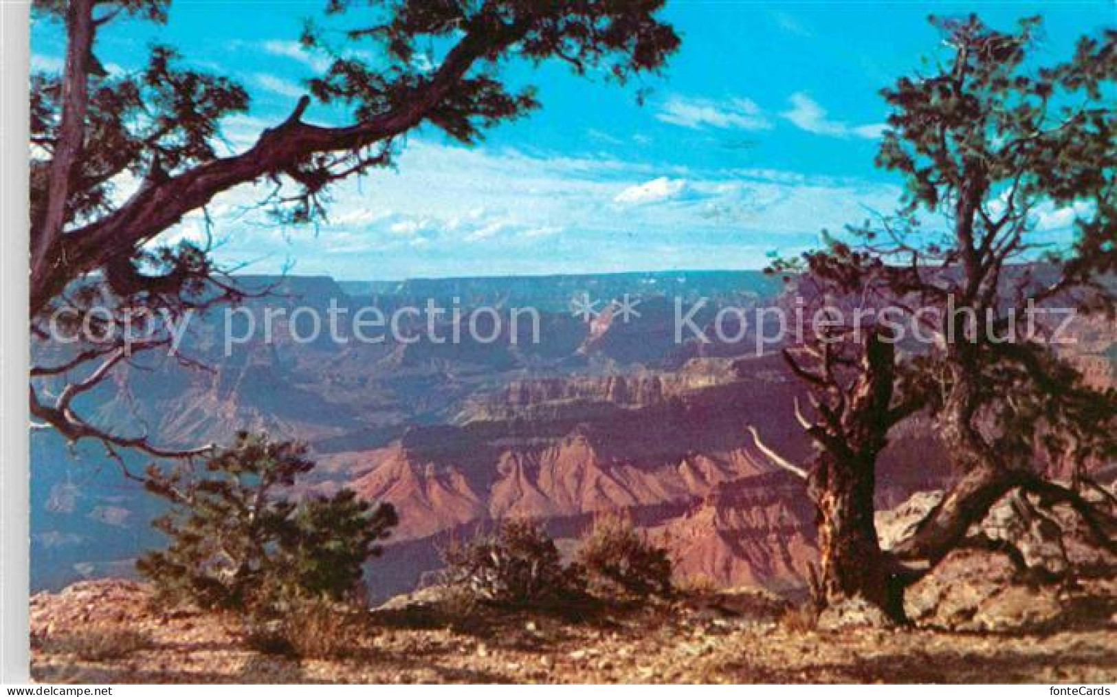 72824040 Arizona_US-State Grand Canyon National Park South Rim - Andere & Zonder Classificatie