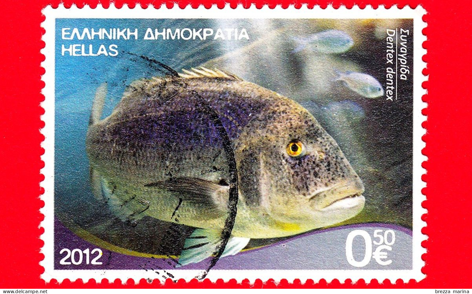 GRECIA - HELLAS - Usato - 2012 - Ricchezze Dei Mari Greci - Pesci - Fish - Dentice - Dentex - 0.50 - Oblitérés