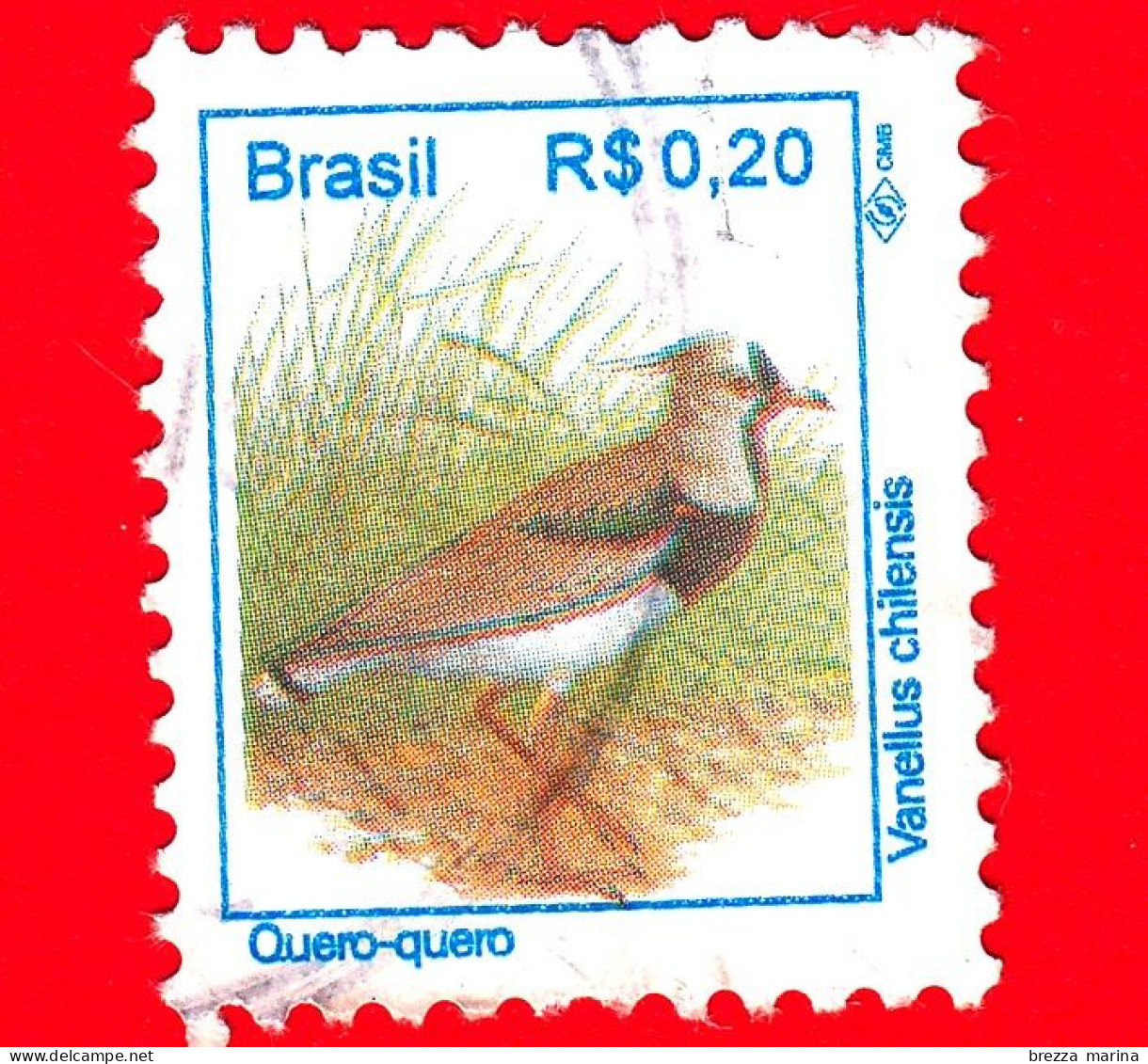 BRASILE - Usato - 1994 - Uccelli Brasiliani - Pavoncella  - Birds - Quero-quero - Vanellus Chilensis -  0.20 - Oblitérés