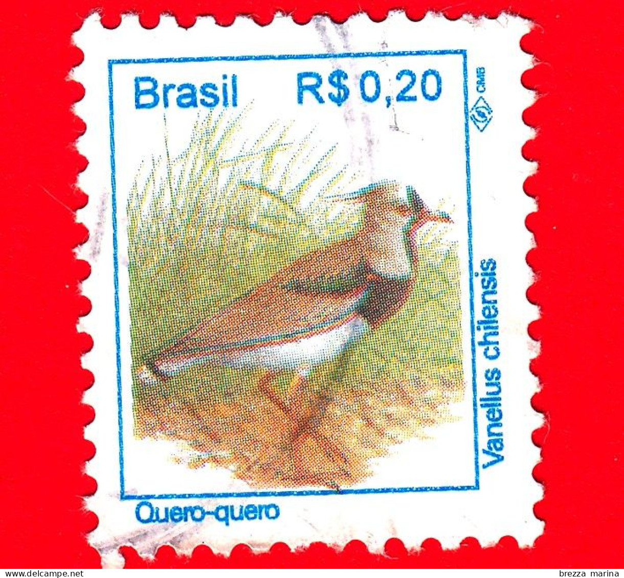 BRASILE - Usato - 1994 - Uccelli Brasiliani - Pavoncella  - Birds - Quero-quero - Vanellus Chilensis -  0.20 - Used Stamps