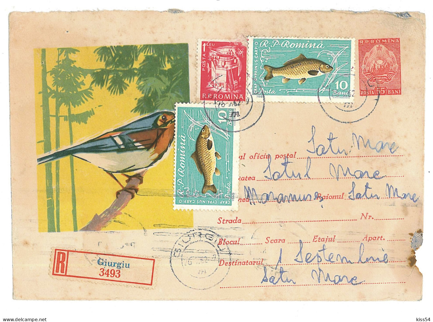 IP 62 - 0155 BIRD, Romania - Registered Stationery - Used - 1962 - Climbing Birds