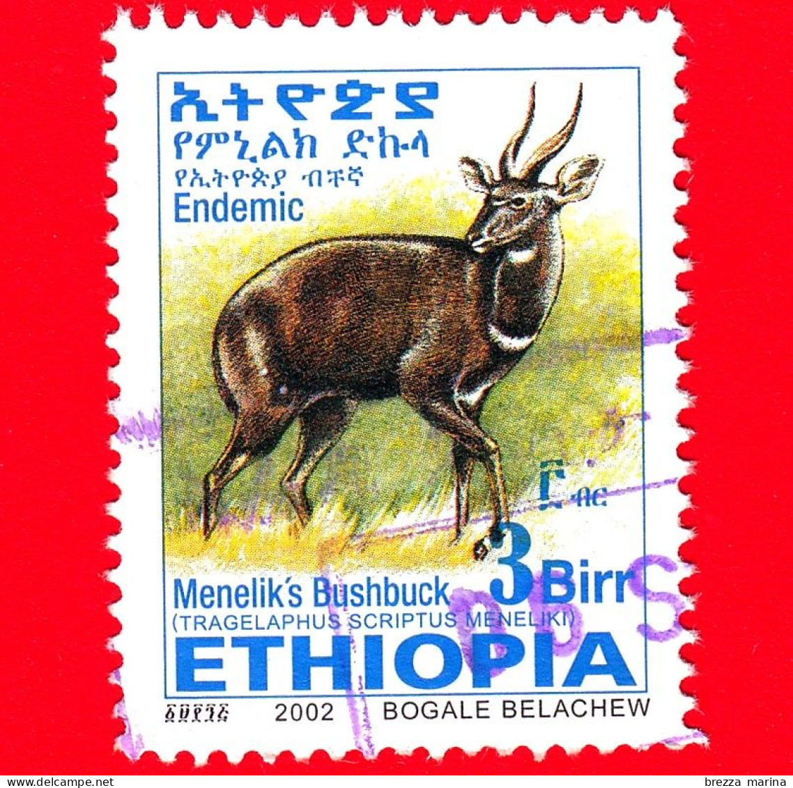 ETIOPIA - Usato - 2002 - Tragelafo Striato - Antilopi - Menelik's Bushbuck - 3 - Form. 25 X 33 Millimetri - Etiopia