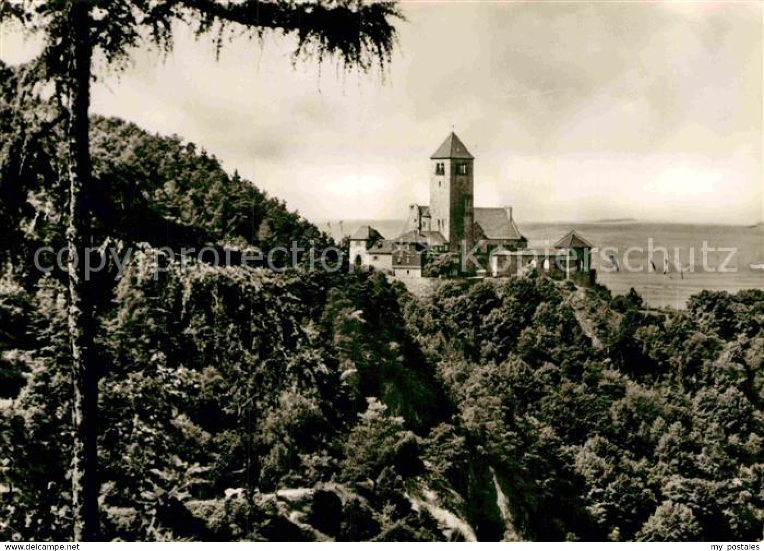 72885850 Weinheim Bergstrasse WSC Wachenburg Weinheim - Weinheim