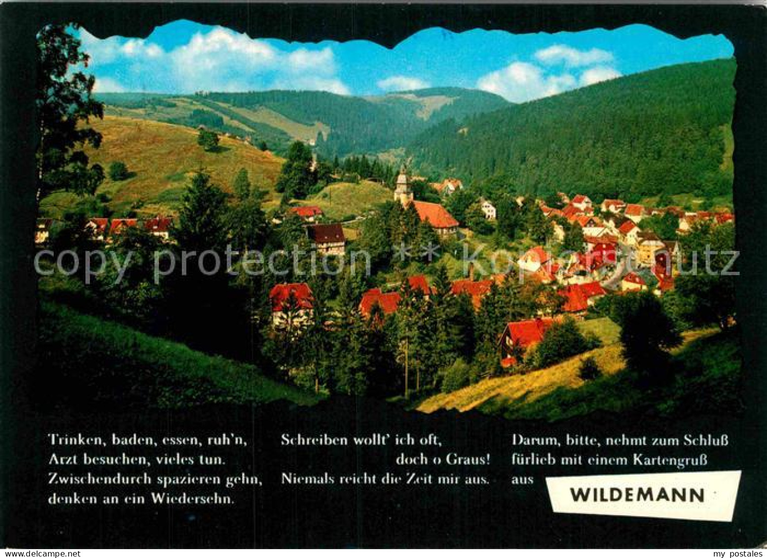 72885565 Wildemann Panorama Klein Tirol Im Oberharz Bergstadt Wildemann Harz - Wildemann