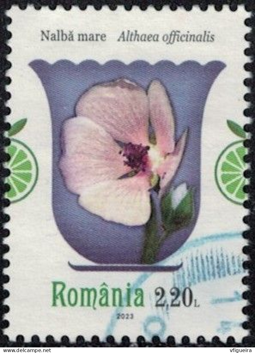 Roumanie 2023 Oblitéré Used Althaea Officinalis Guimauve Officinale Y&T RO 6960 SU - Used Stamps