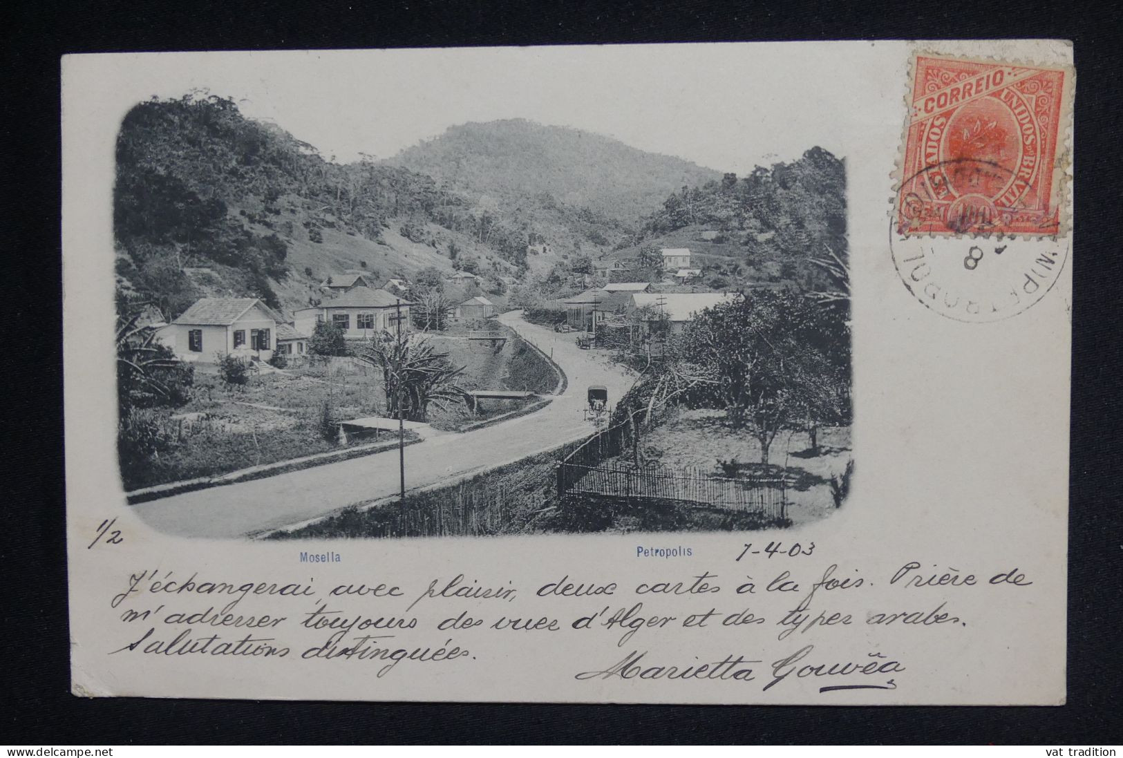 BRESIL - CPA Région De Rio Pour L'Algérie - 1903 - Pas Courant - A  2100 - Briefe U. Dokumente