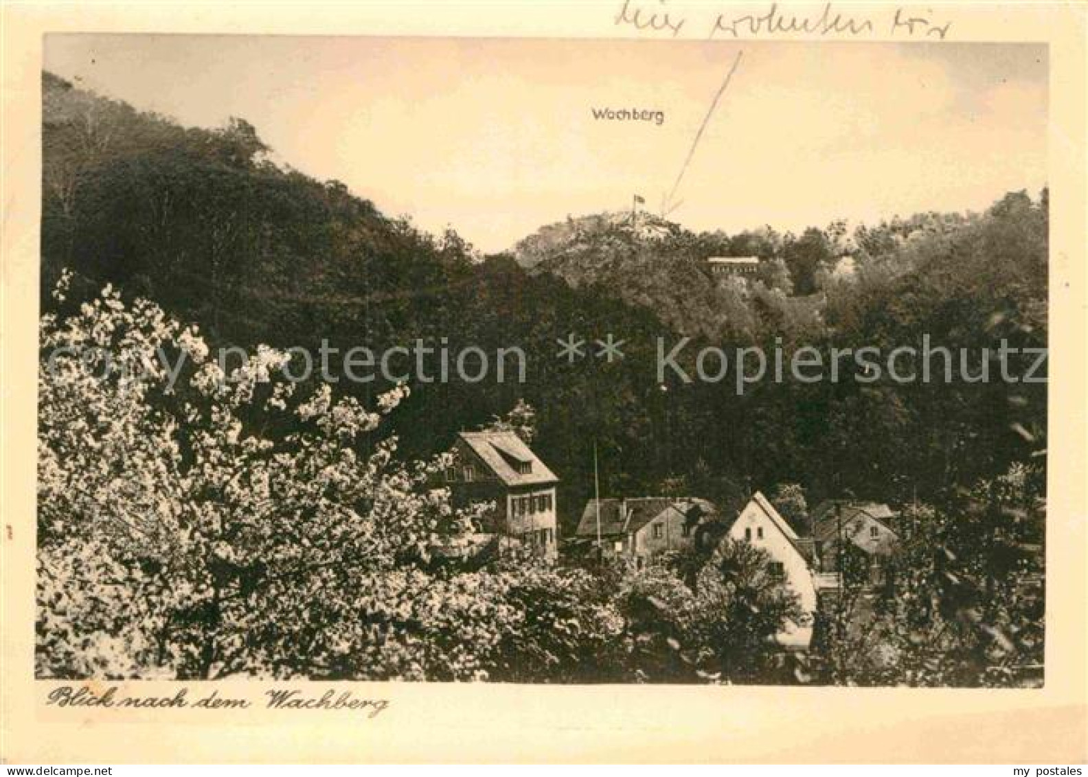 72884991 Saupsdorf Blick Nach Dem Wachberg Berggasthof Kirnitzschtal - Kirnitzschtal