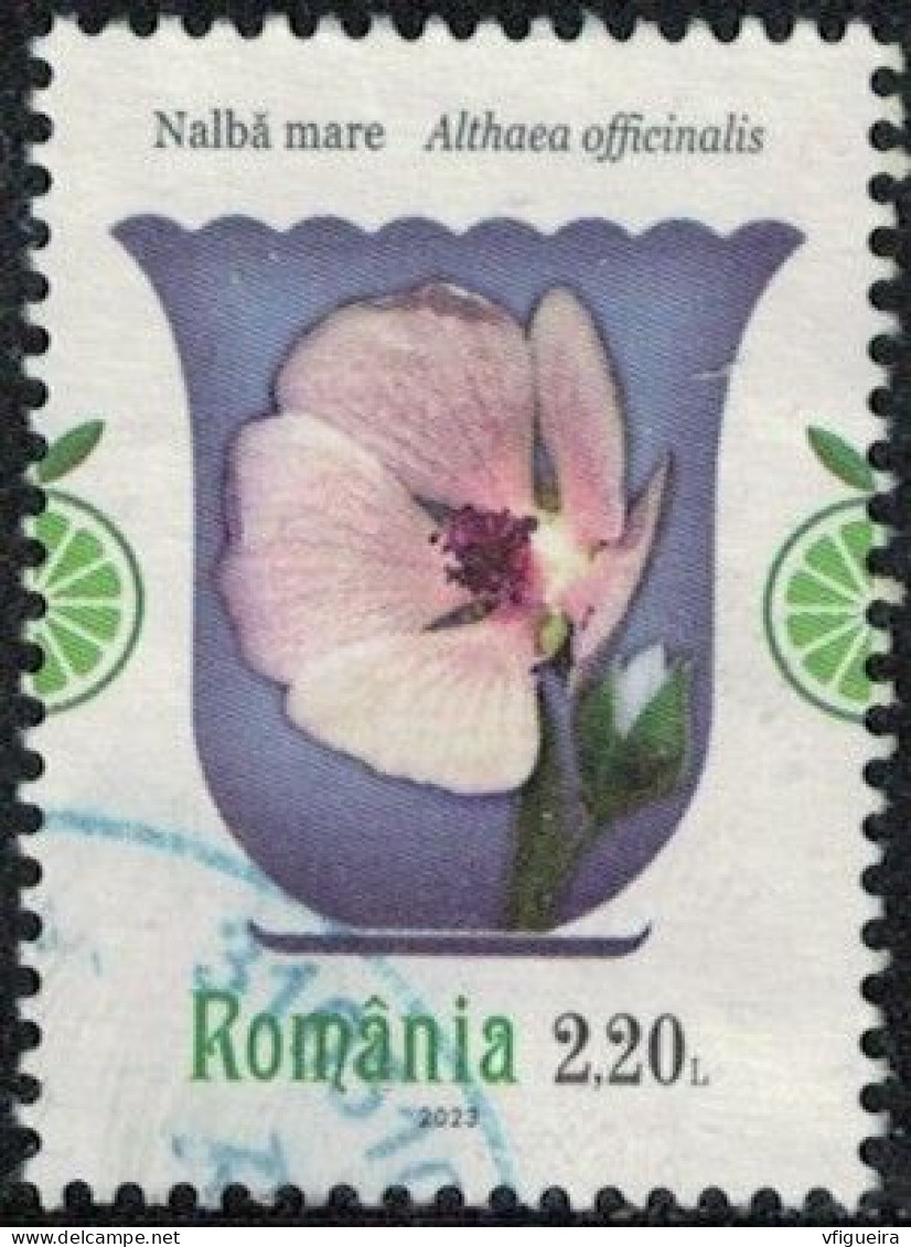 Roumanie 2023 Oblitéré Used Althaea Officinalis Guimauve Officinale Y&T RO 6960 SU - Gebruikt