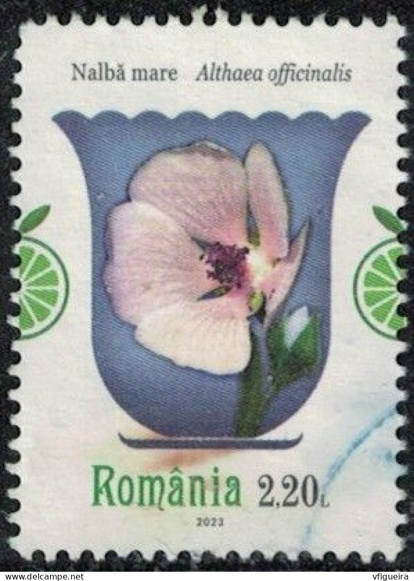 Roumanie 2023 Oblitéré Used Althaea Officinalis Guimauve Officinale Y&T RO 6960 SU - Used Stamps