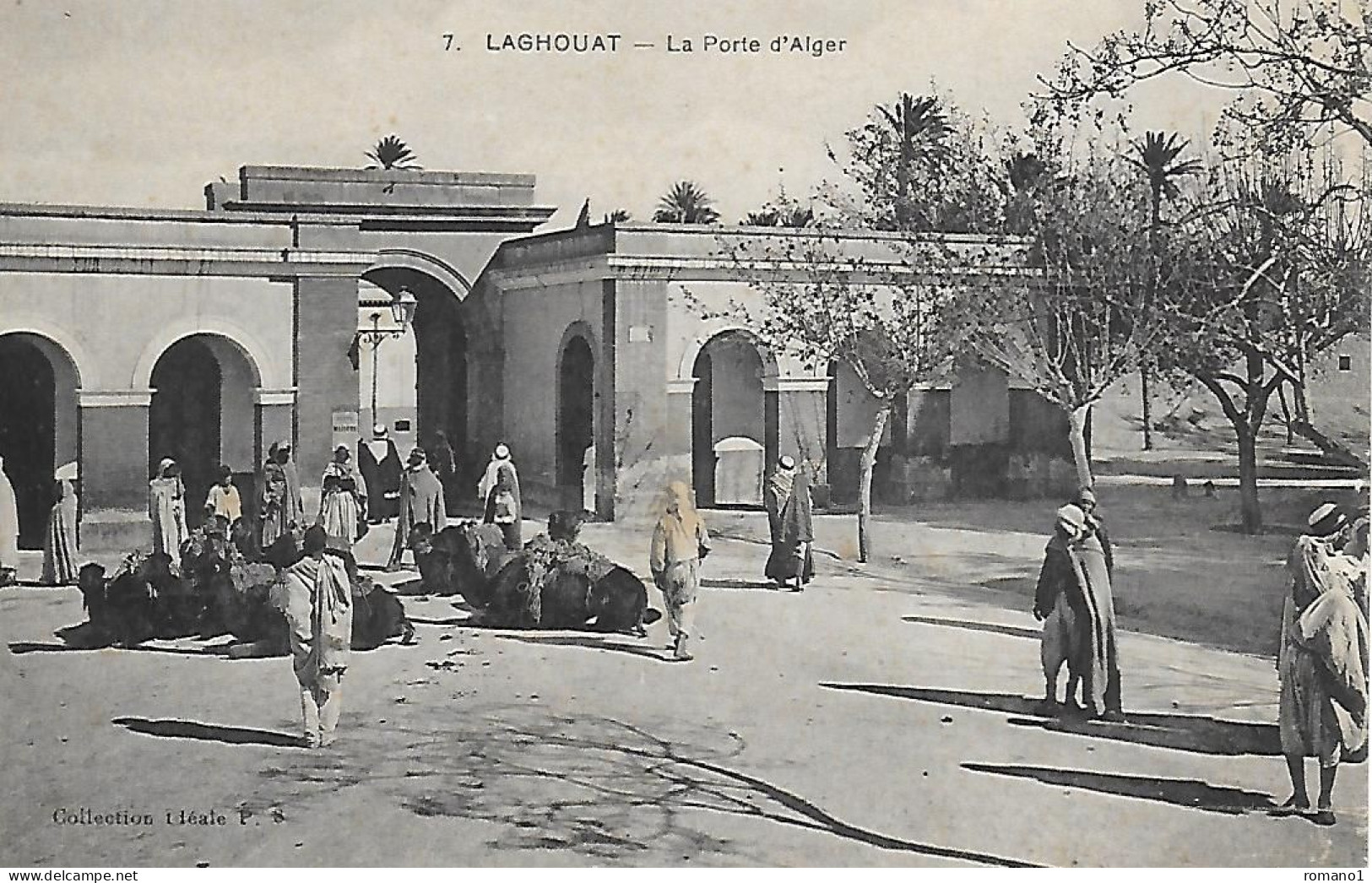 Algérie )    LAGHOUAT - Porte D'Alger - Laghouat