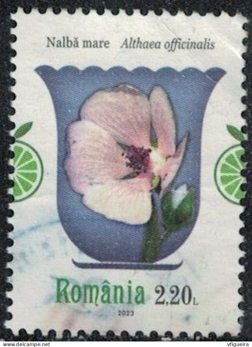 Roumanie 2023 Oblitéré Used Althaea Officinalis Guimauve Officinale Y&T RO 6960 SU - Usati