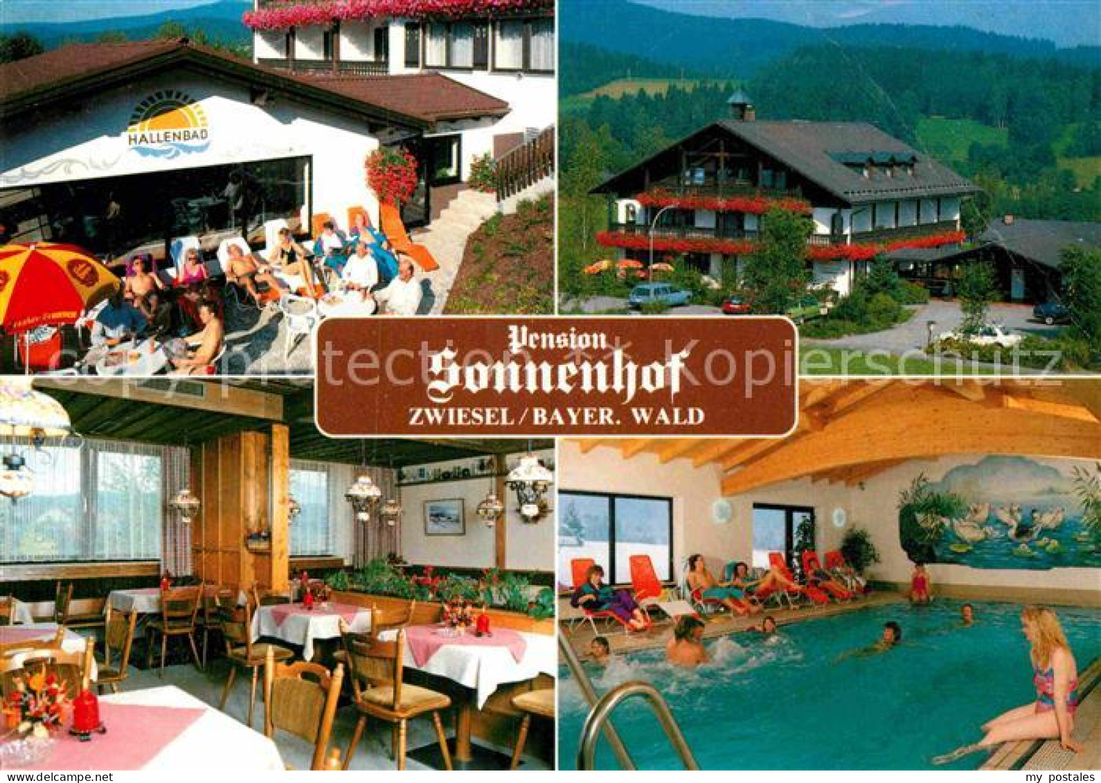 72883990 Zwiesel Niederbayern Pension Sonnenhof Terrasse Hallenbad Baernzell - Zwiesel