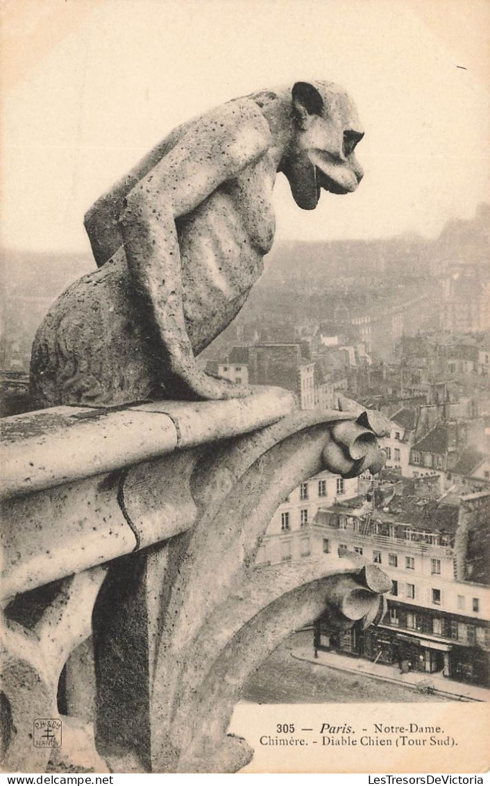 FRANCE - Paris - Notre-Dame - Chimère - Diable Chien - Tour Sud - Carte Postale Ancienne - Notre-Dame De Paris