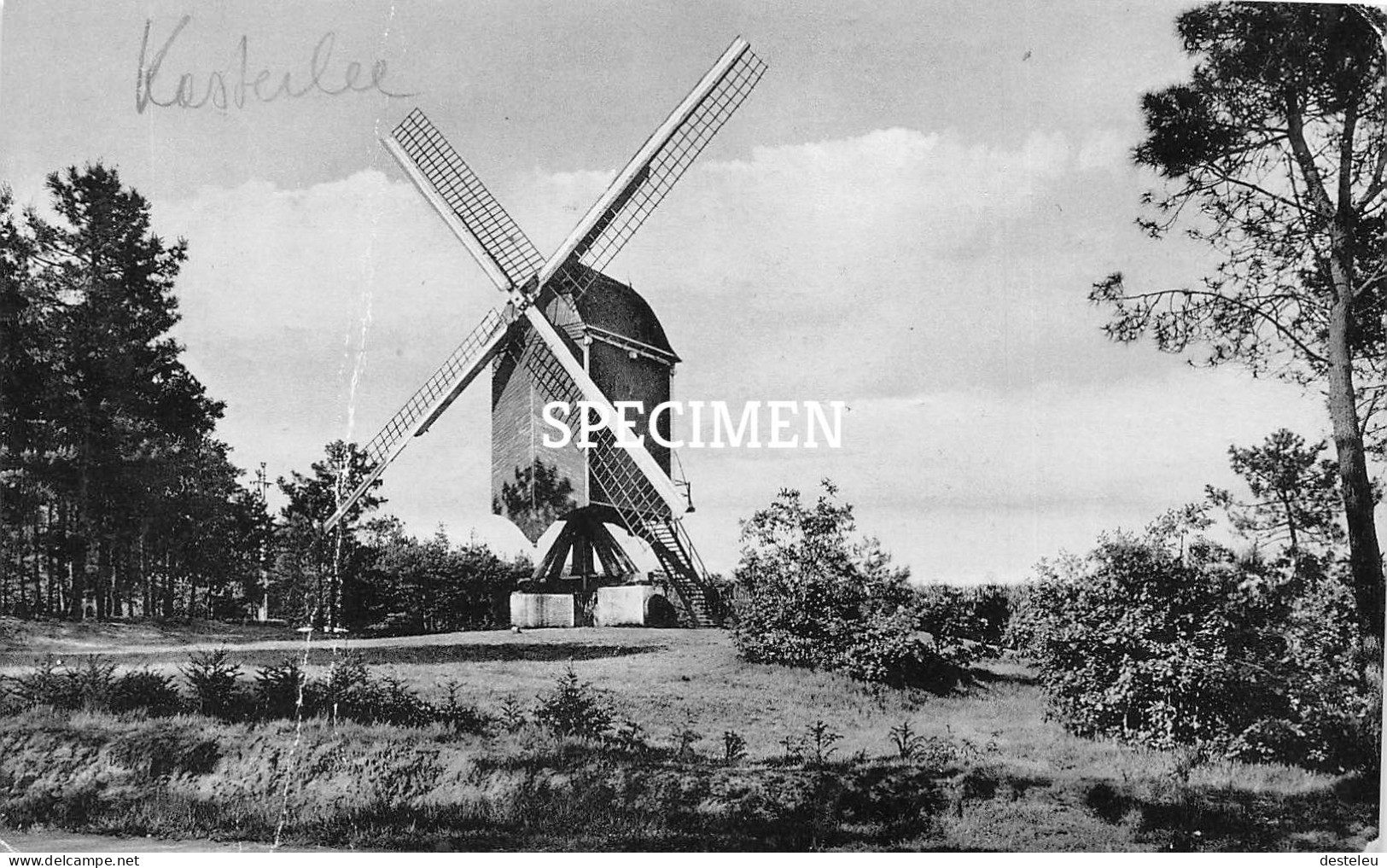 Standaardmolen - Kasterlee - Kasterlee