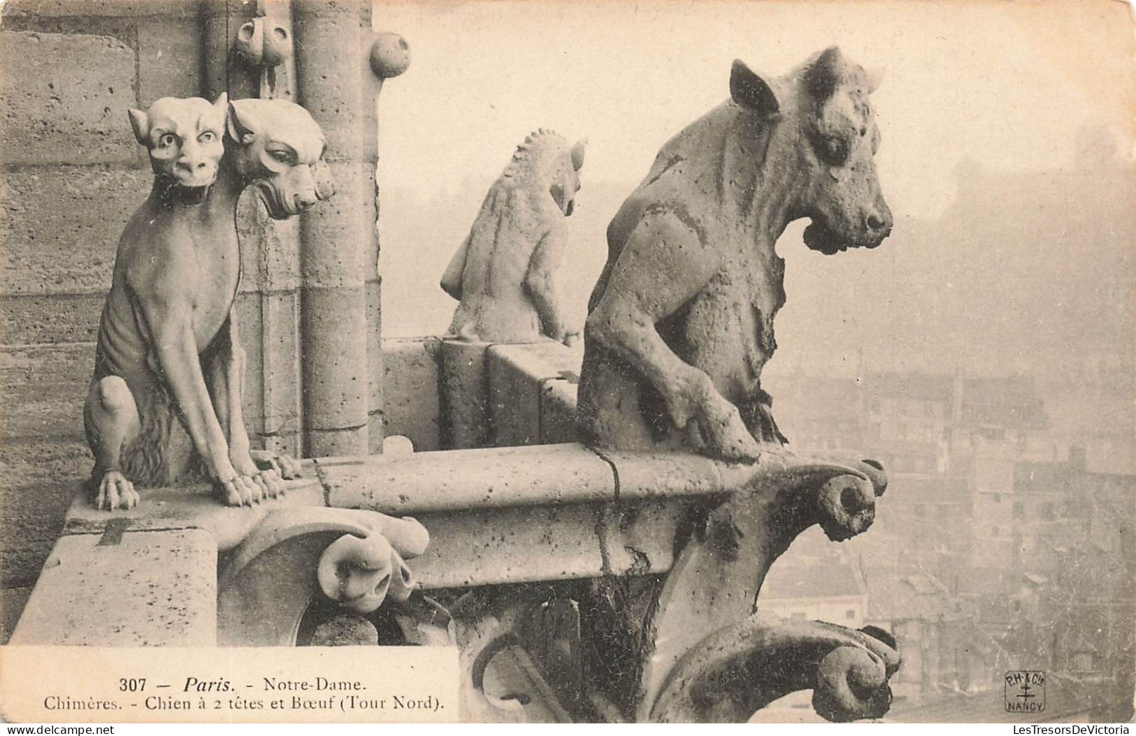 FRANCE - Paris - Notre-Dame - Chimères - Chien à 2 Têtes Et Bœuf - Tour Nord - Carte Postale Ancienne - Notre Dame Von Paris