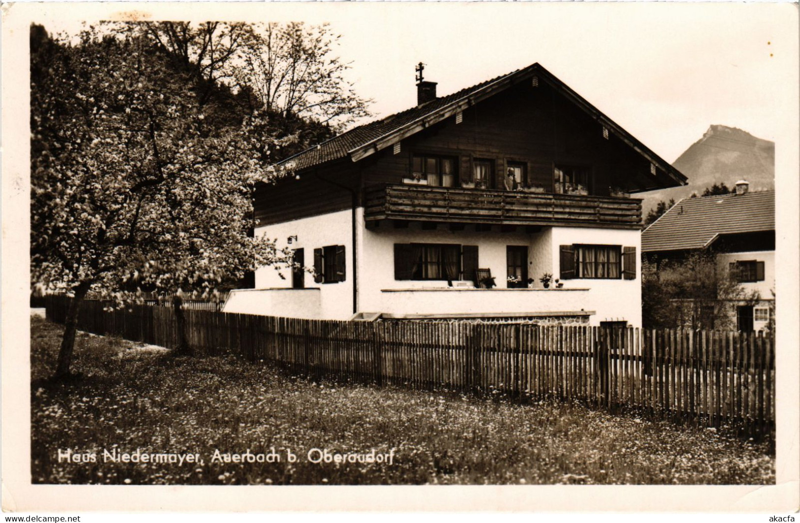 CPA AK AUERBACH Haus Niedermayer GERMANY (1383205) - Auerbach