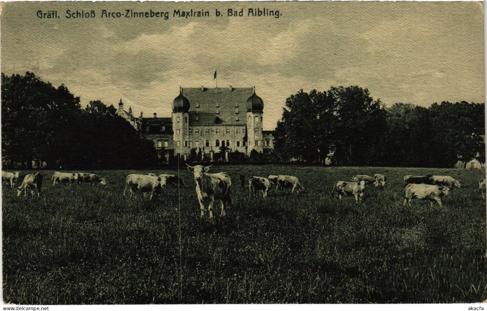 CPA AK BAD AIBLING Schloss Maxlrain GERMANY (1384388) - Bad Aibling