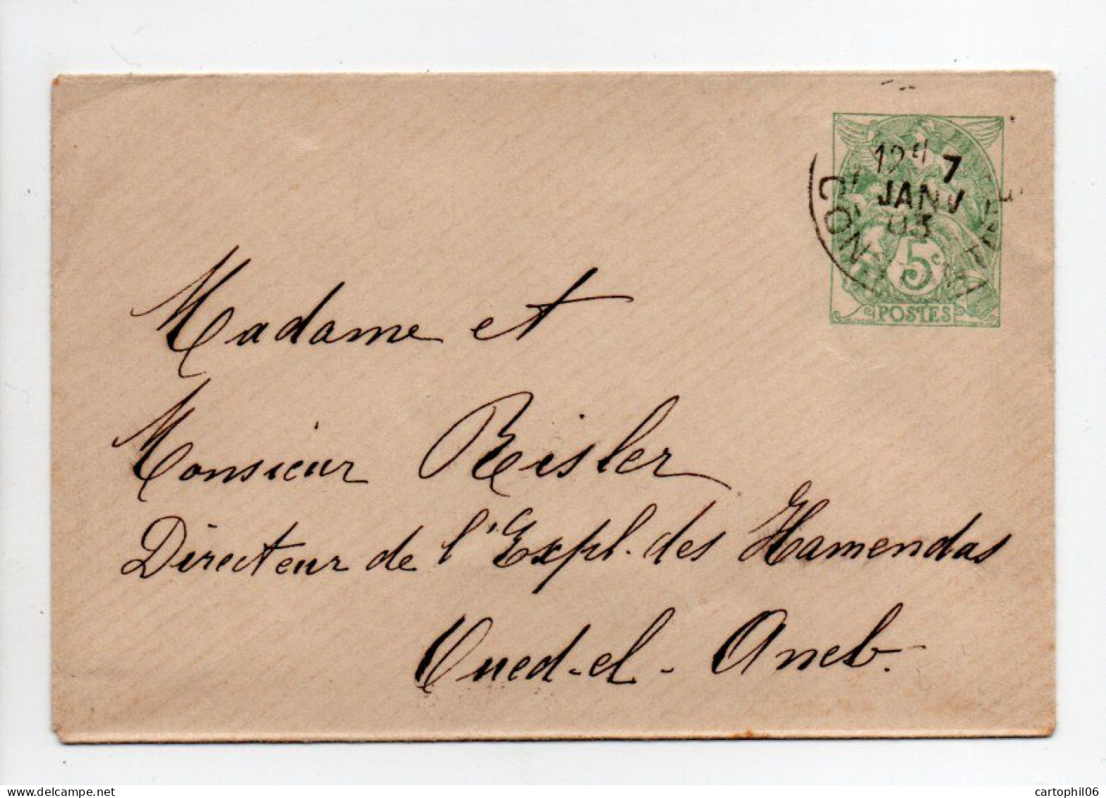 - Entier Postal Pour OUED EL ANEB (Algérie) 7.1.1903 - 5 C. Vert-jaune Type Blanc - Date 206 - - Standaardomslagen En TSC (Voor 1995)