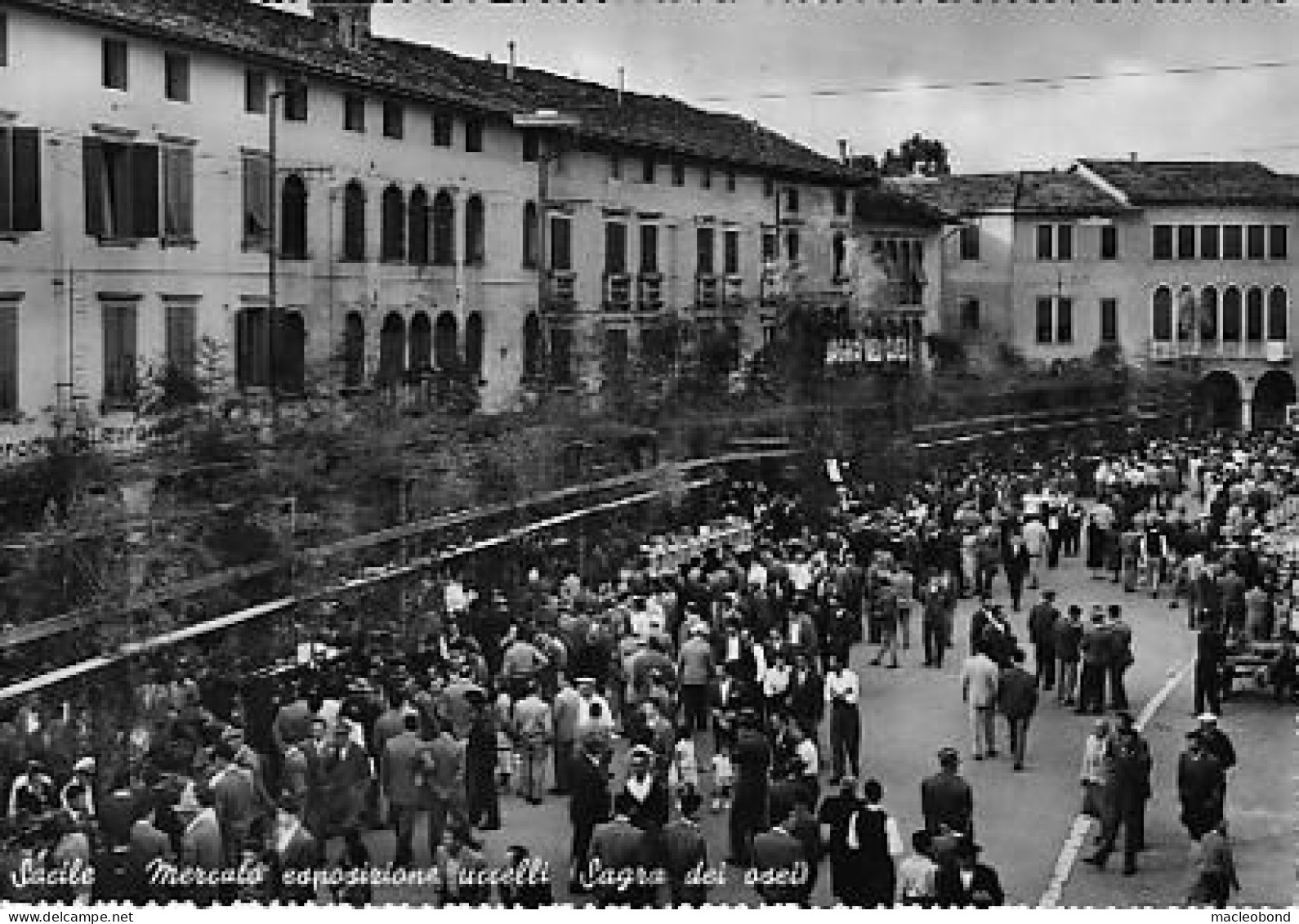 Sacile (Pordenone) - Mercato Degli Uccelli (sagra Dei Osei) - Pordenone