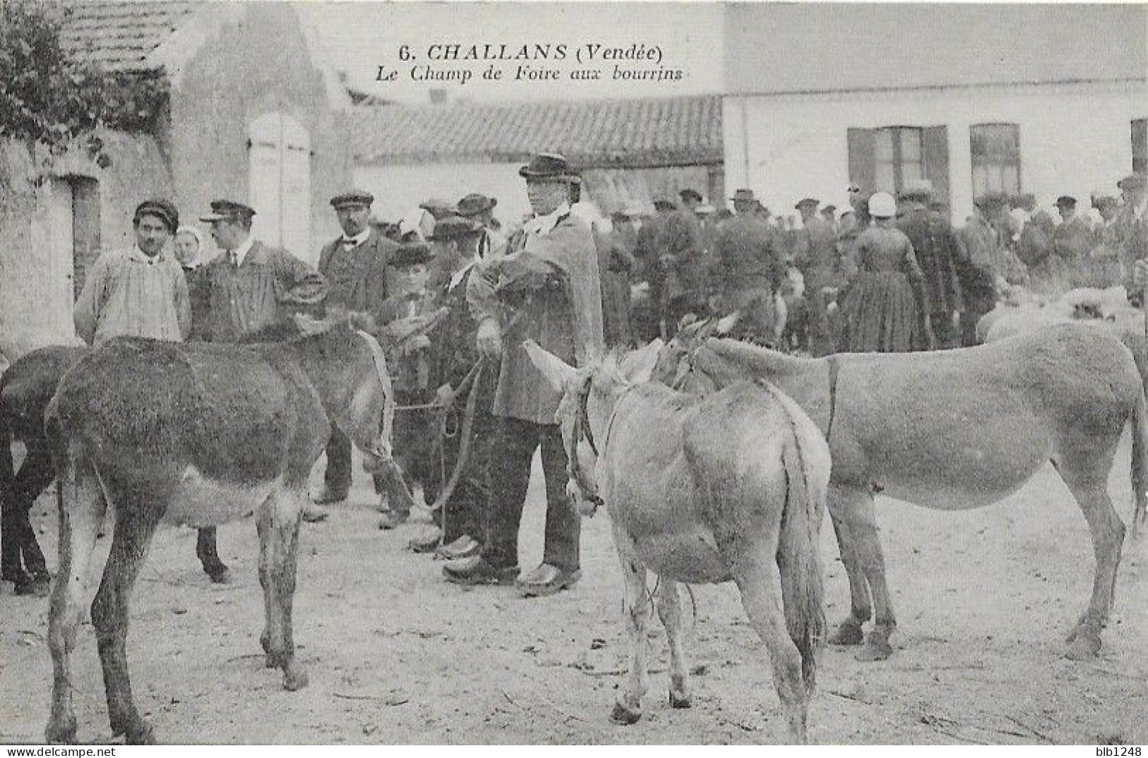 [85] Vendée > Challans Le Champ De Foire Aux Bourrins - Challans