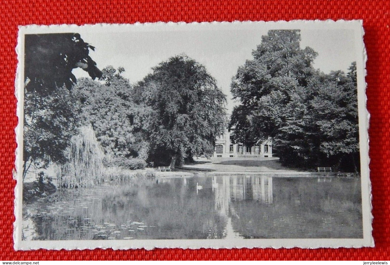 OUDENAARDE  - 2 KAARTEN : Monument Aan De Gesneuvelden 1914-18 En Boudewijnstoren - Park Liedts - Oudenaarde