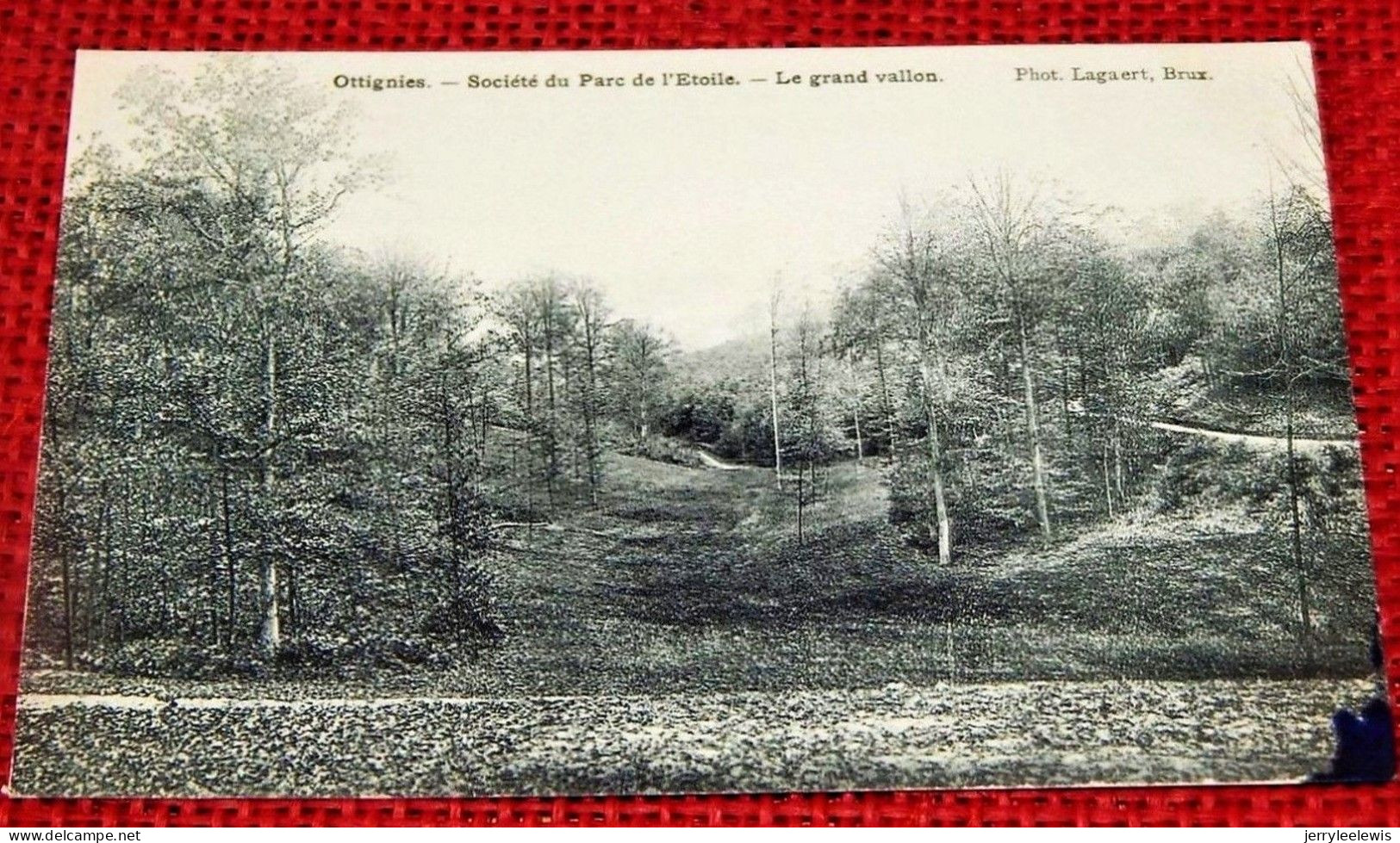 OTTIGNIES  -  Société Du Parc De L'Etoile  - Le Grand Vallon - Ottignies-Louvain-la-Neuve