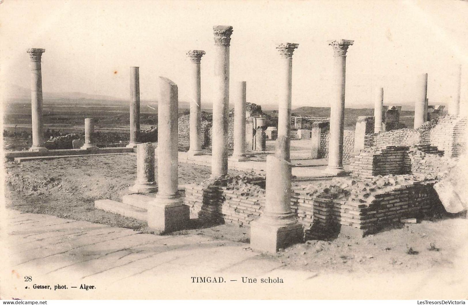 ALGERIE - Batna - Timgad - Vue Sur Une Schola - Carte Postale Ancienne - Batna
