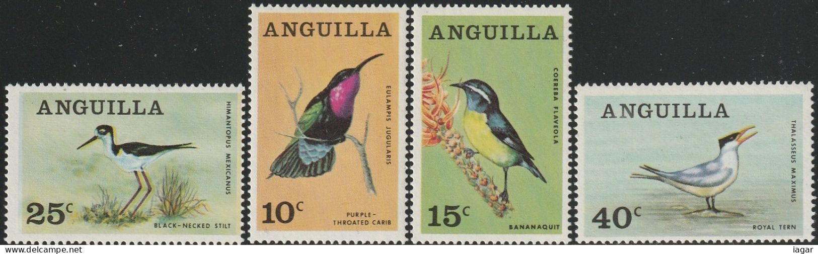 THEMATIC FAUNA:  ANGUILLAN BIRDS.  -  ANGUILLA - Albatros