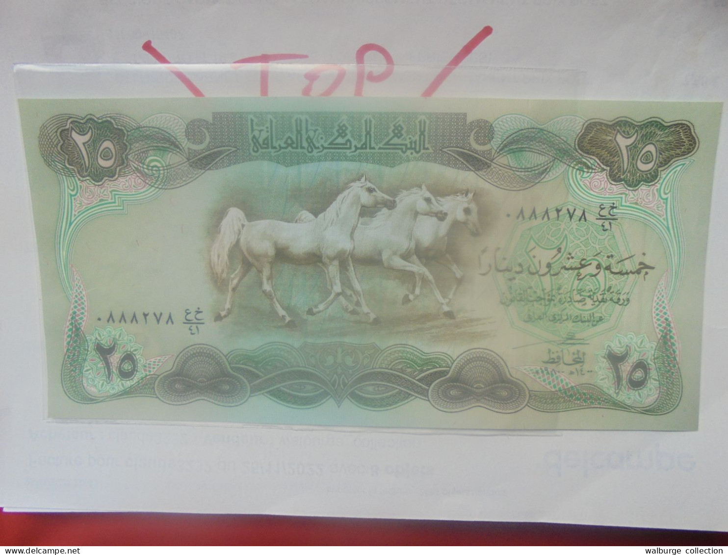 IRAQ 25 DINARS 1980 Neuf (B.33) - Iraq