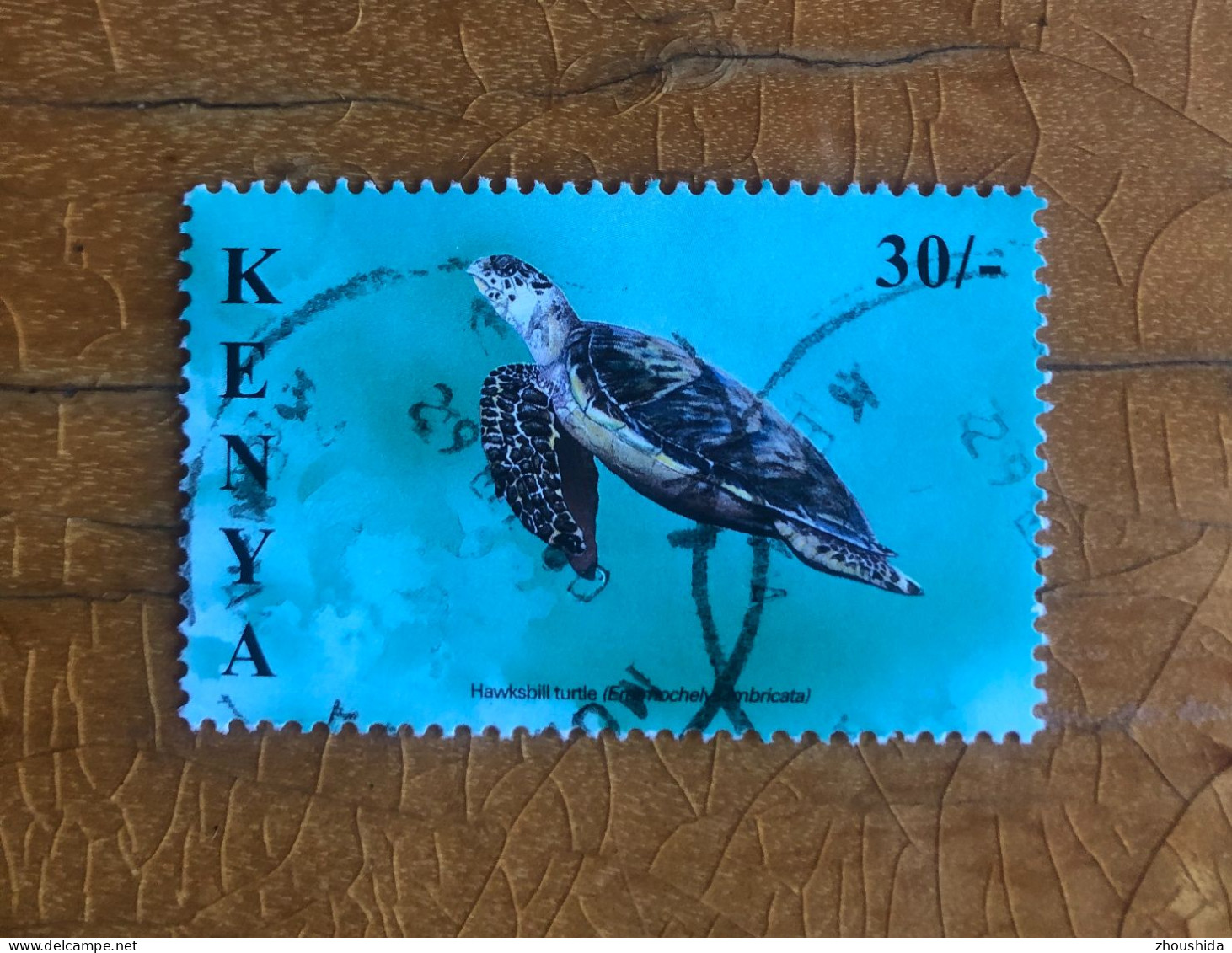 Kenya 2000 Turtle 30SH Fine Used - Kenya (1963-...)