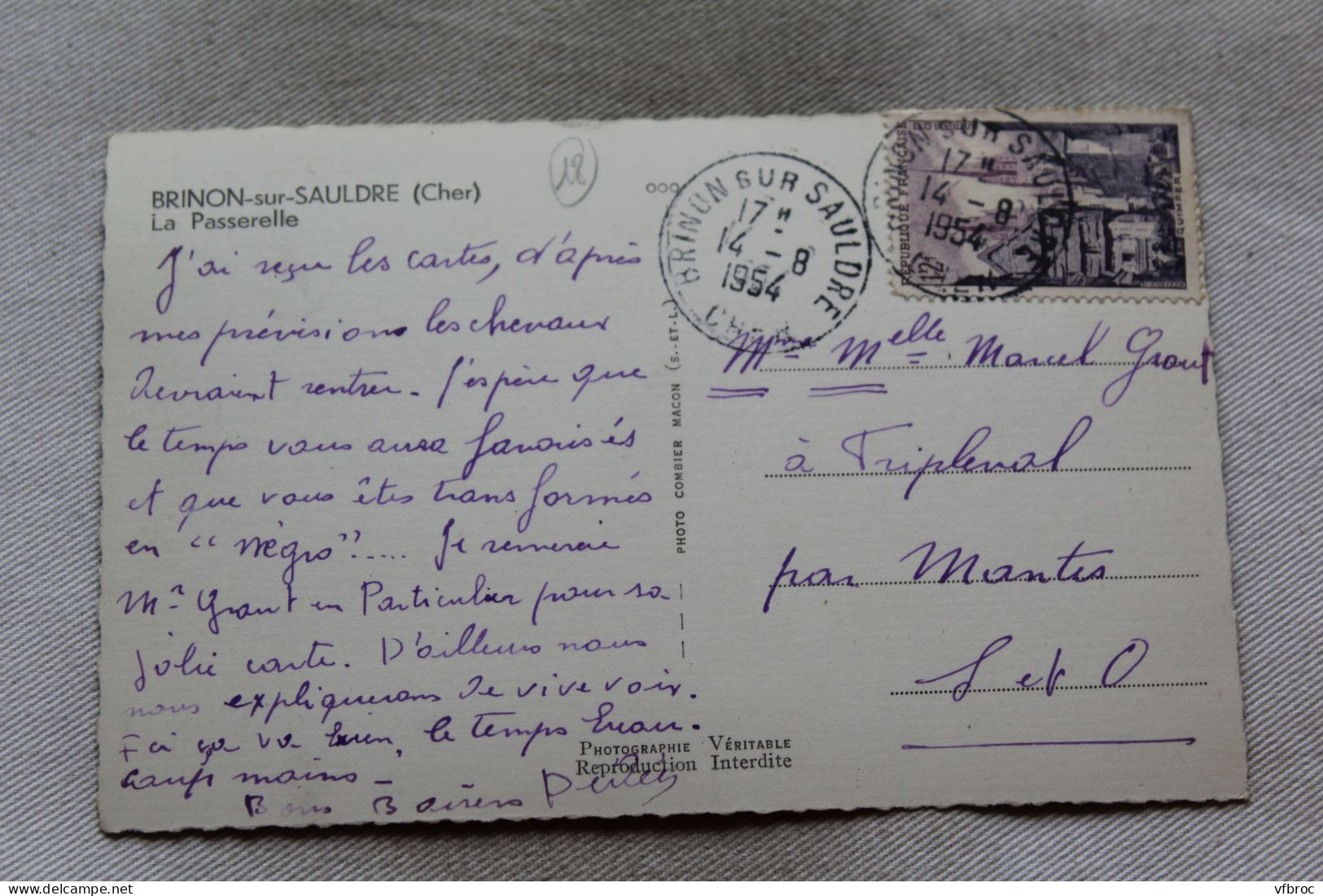 L596, Cpsm 1954, Brinon Sur Sauldre, La Passerelle, Cher 18 - Brinon-sur-Sauldre