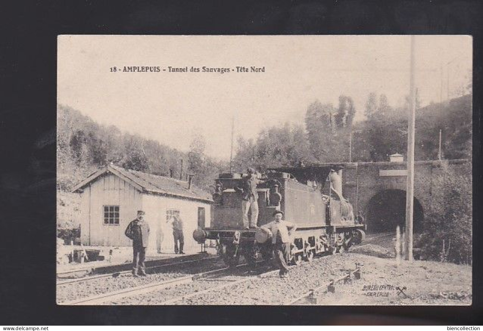 Rhône. Amplepuis ,la Locomotive Au  Tunnel De Sauvages - Amplepuis