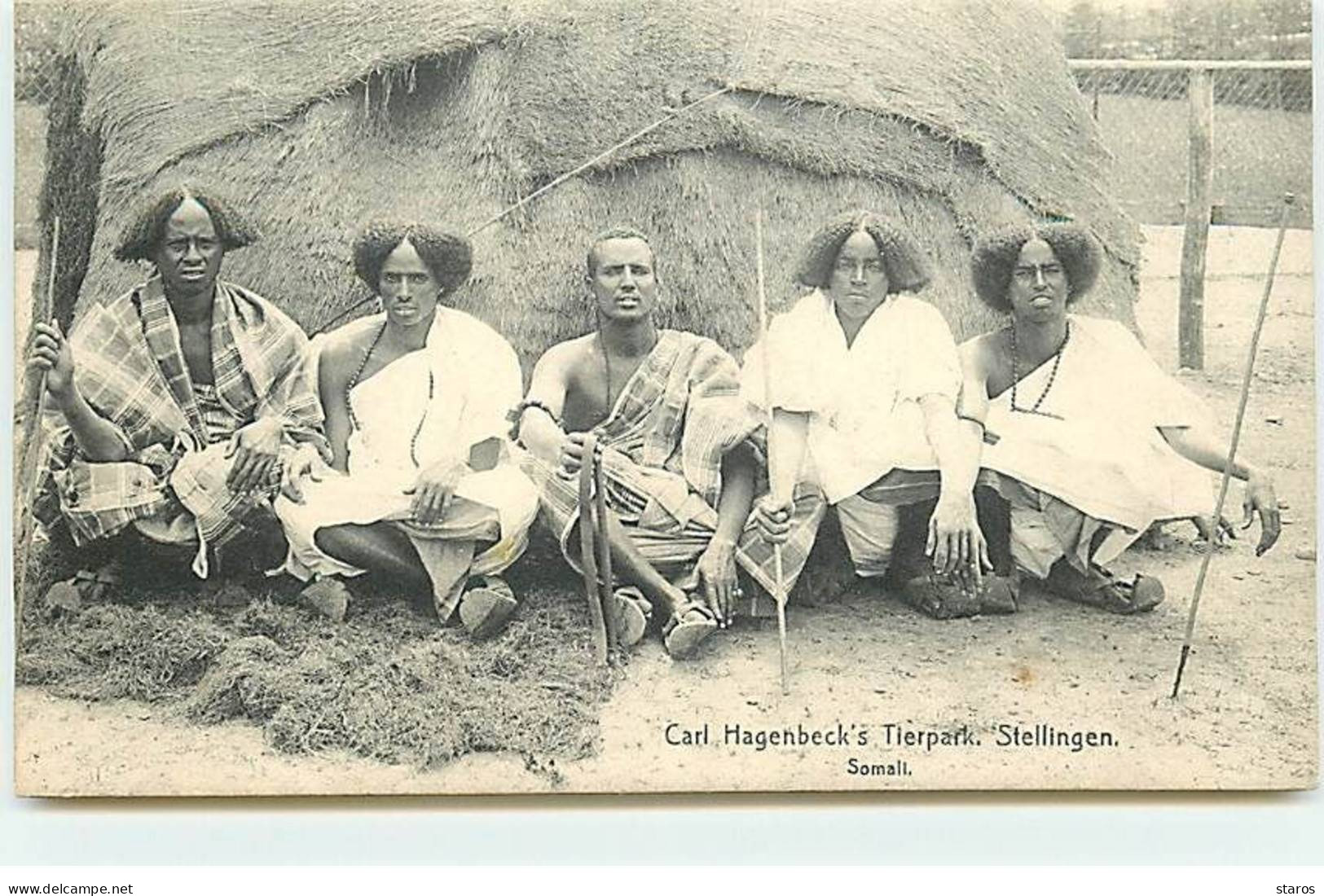 Allemagne - STELLINGEN - Carl Hagenbecks Tierpark - Somali - Stellingen