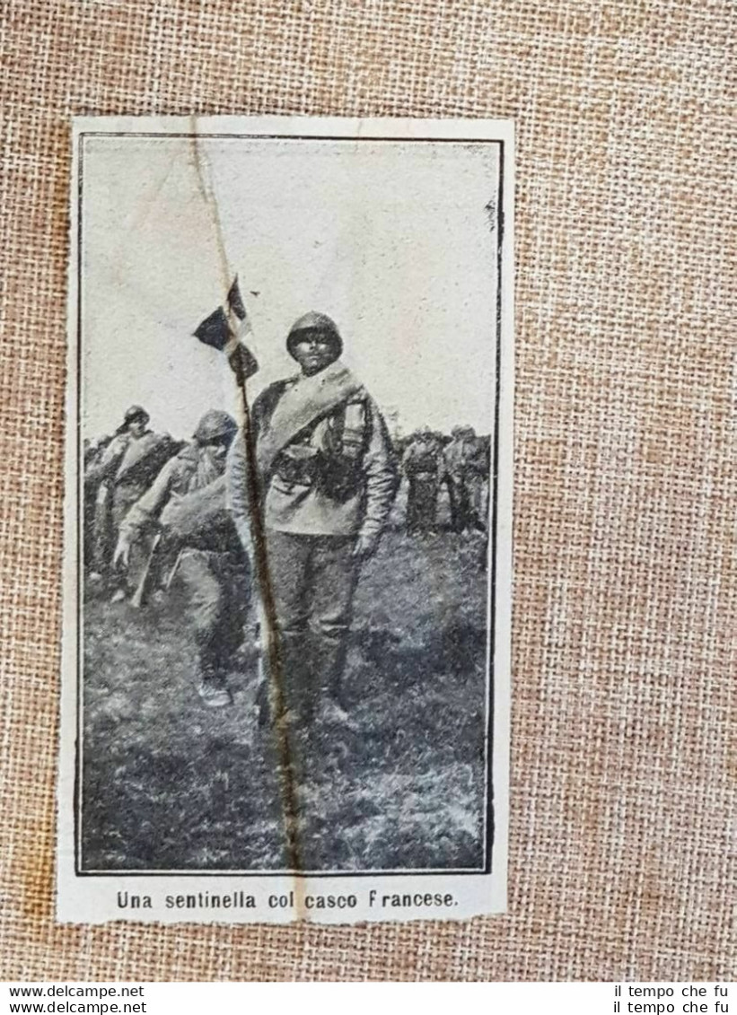 Sentinella Di Russia Con Casco Francese Nel 1917 WW1 Prima Guerra Mondiale - Autres & Non Classés