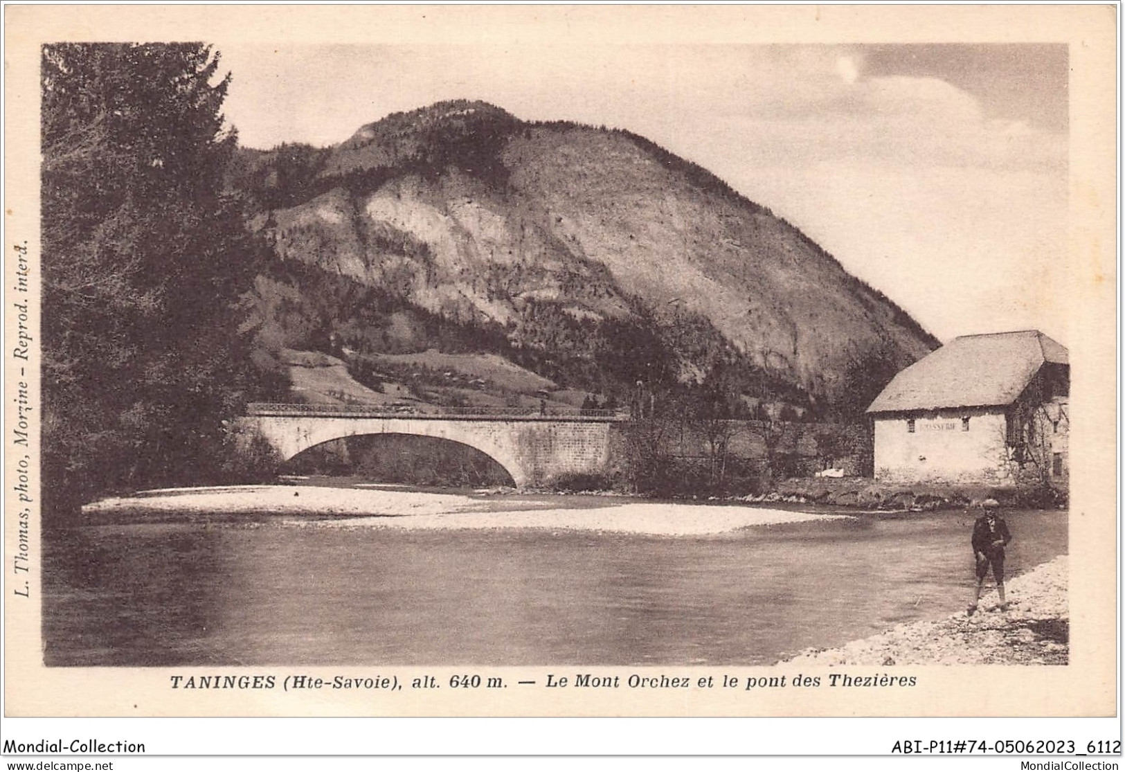 ABIP11-74-1030 - TANINGES - Le Mont Orchez Et Le Pont Des Thezieres - Taninges