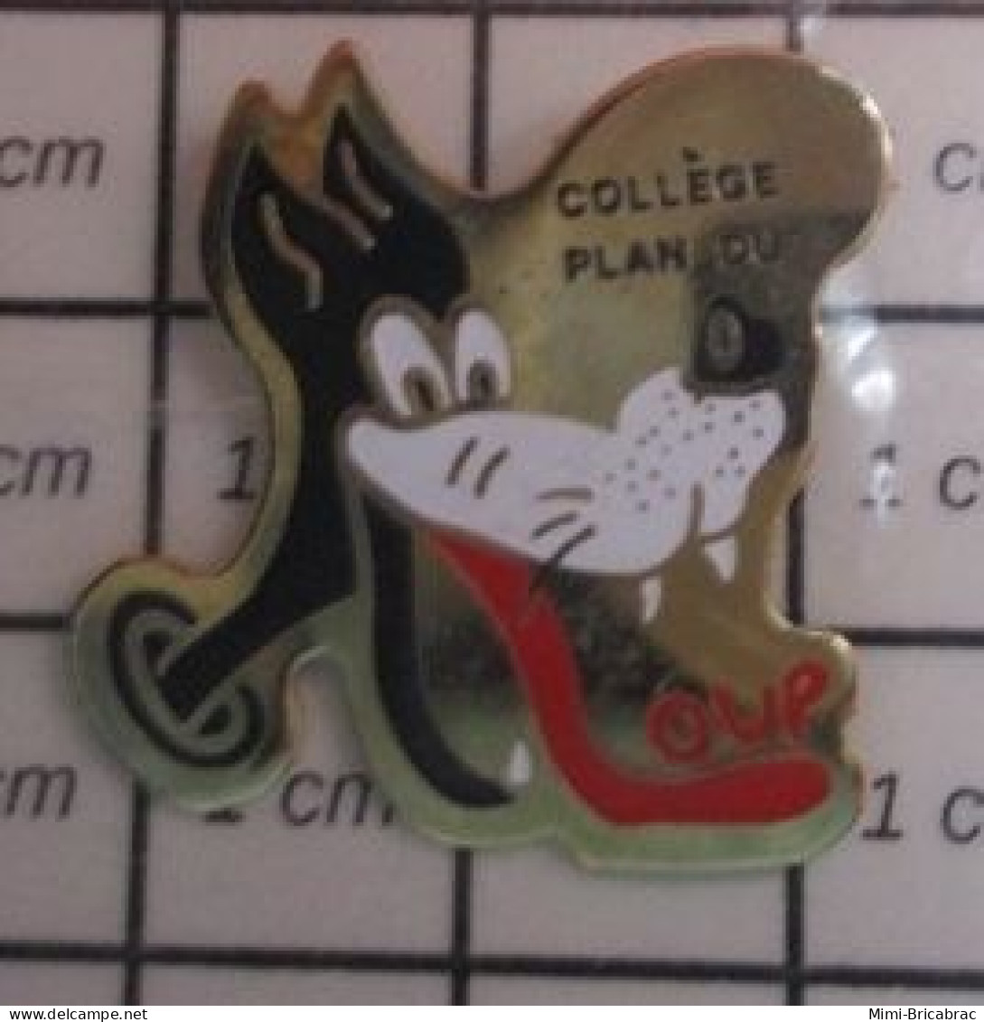 713L Pin's Pins / Beau Et Rare / ADMINISTRATIONS / COLLEGE PLAN DU LOUP - Administrations