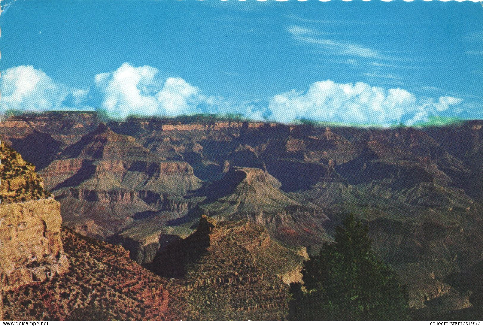 GRAND CANYON NATIONAL PARK, ARIZONA, UNITED STATES, POSTCARD - Grand Canyon