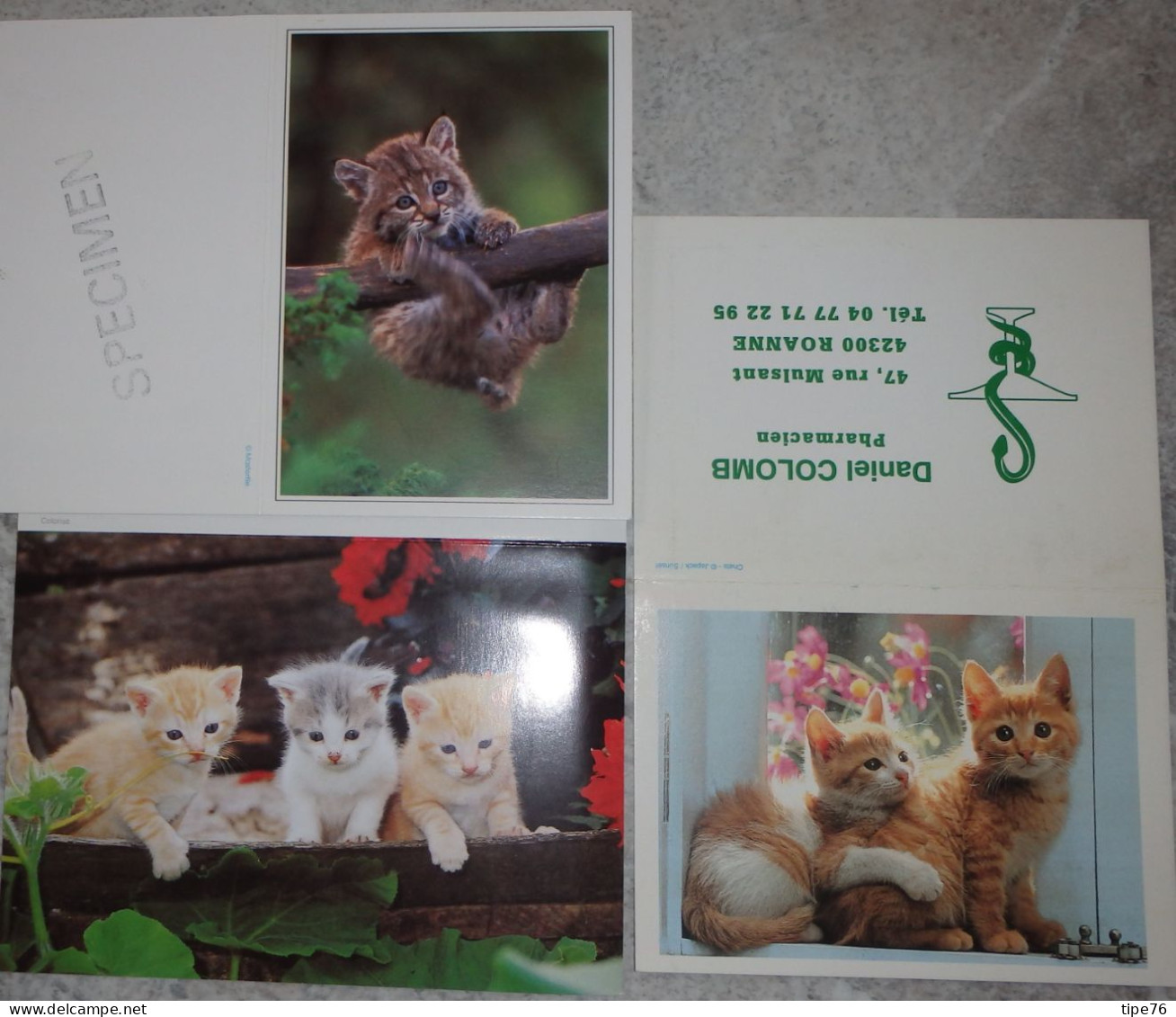 Petit Calendrier De Poche Lot 3 Calendriers 2004 Chat Chaton - Petit Format : 2001-...