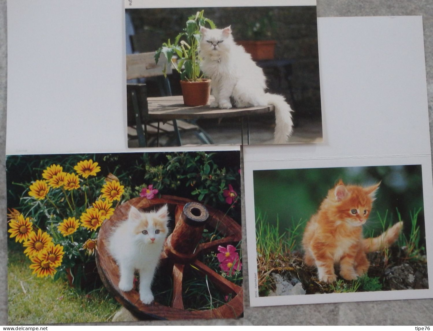 Petit Calendrier De Poche Lot 3 Calendriers 2006 Chat Chaton - Petit Format : 2001-...