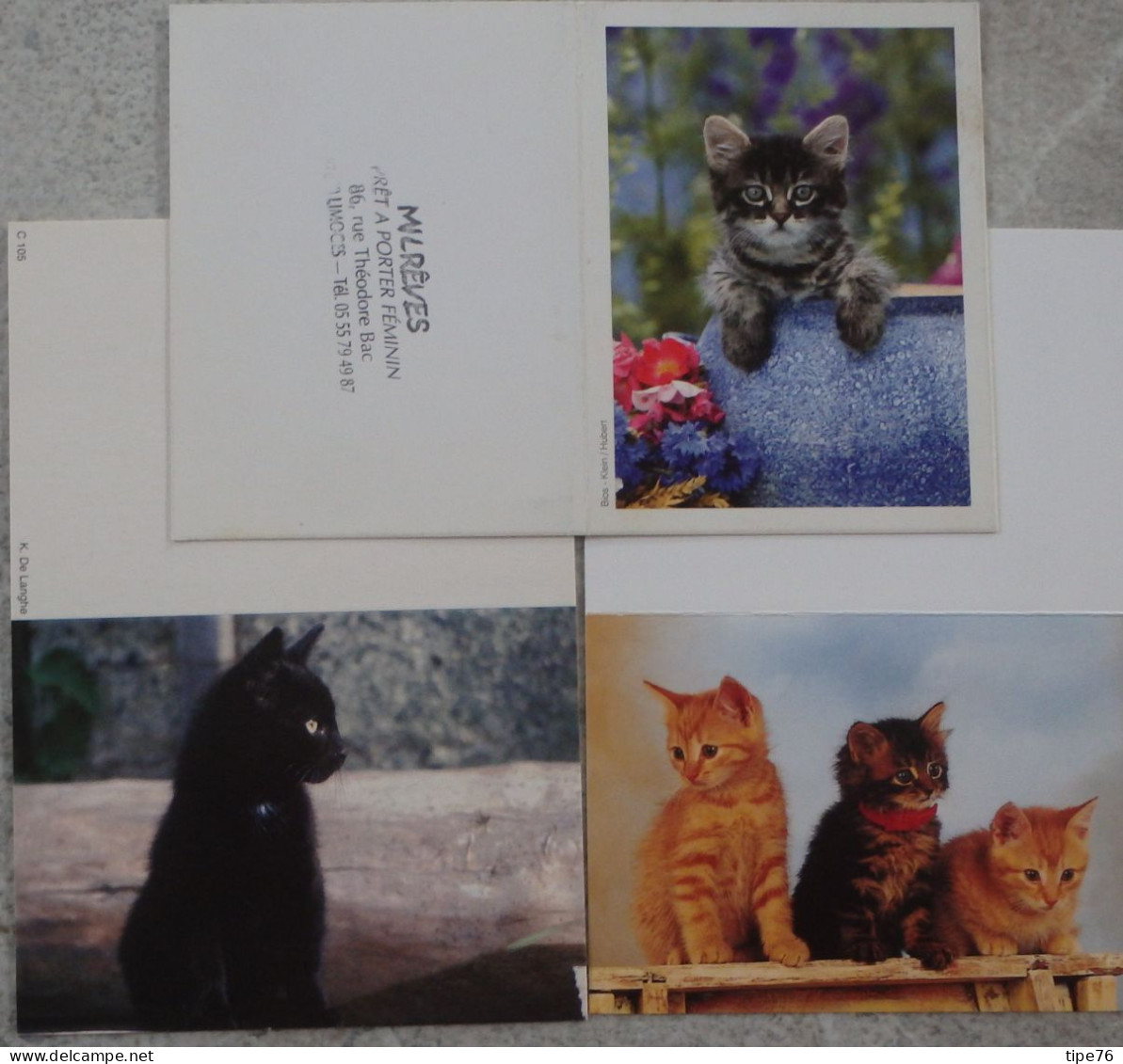 Petit Calendrier De Poche Lot 3 Calendriers 2006 Chat Chaton - Petit Format : 2001-...