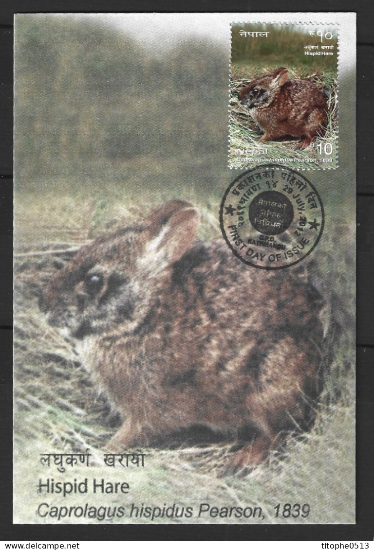 NEPAL. N°1019 Sur Carte Maximum De 2012. Lapin Asiatique. - Rabbits