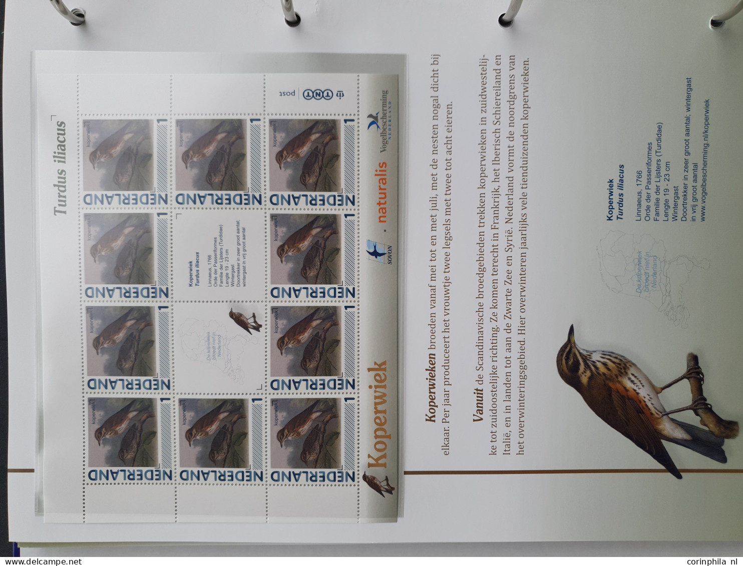 2007-2020 collecties nominaal (Canon van Nederland, Nostalgie in Postzegels, Vlinders, Vogels (inclusief Aigo Pen)) w.b.
