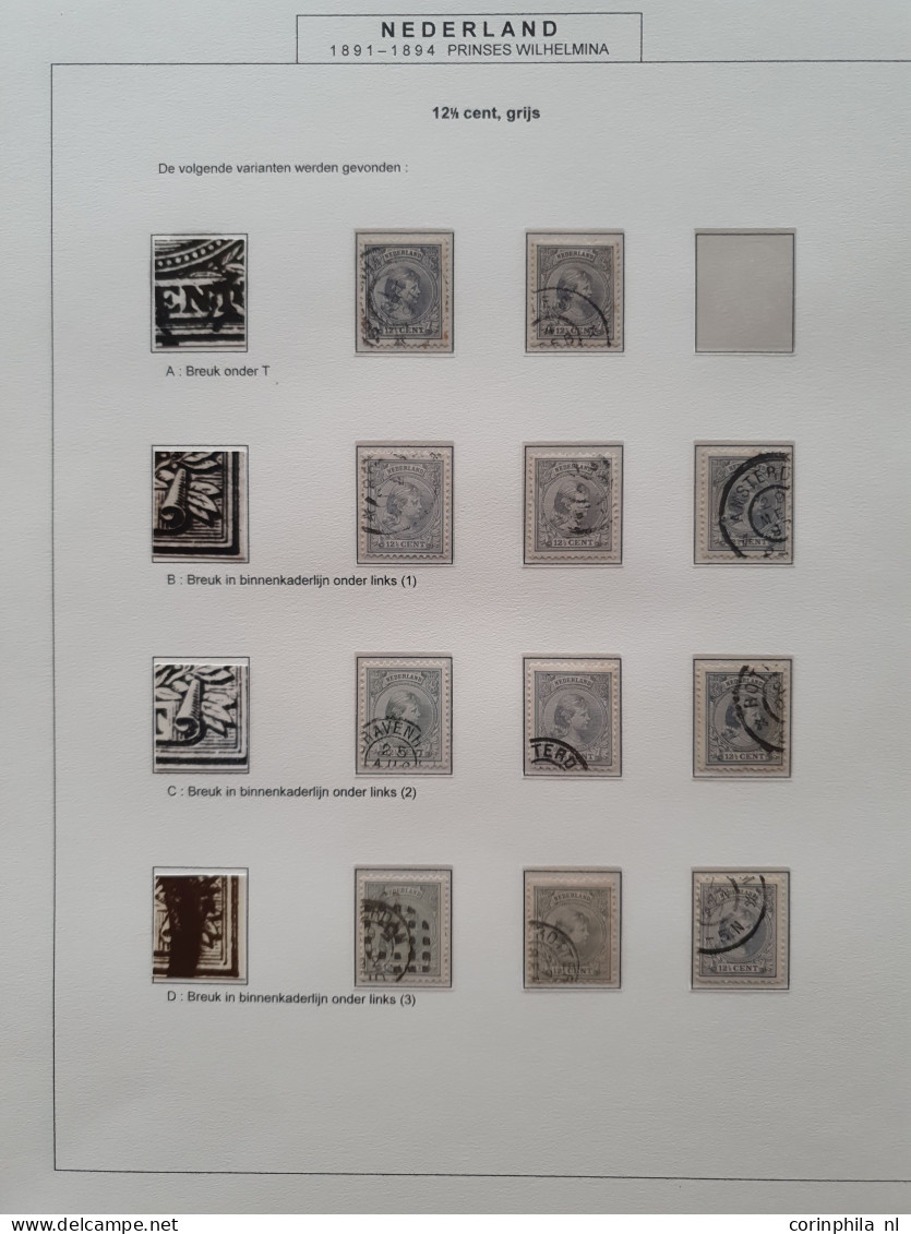 1891-1899, Emissie Hangend Haar, Zwaar Gespecialiseerde Meest Gestempelde Collectie Met O.a. Kleuren, Papiersoorten, (se - Colecciones Completas